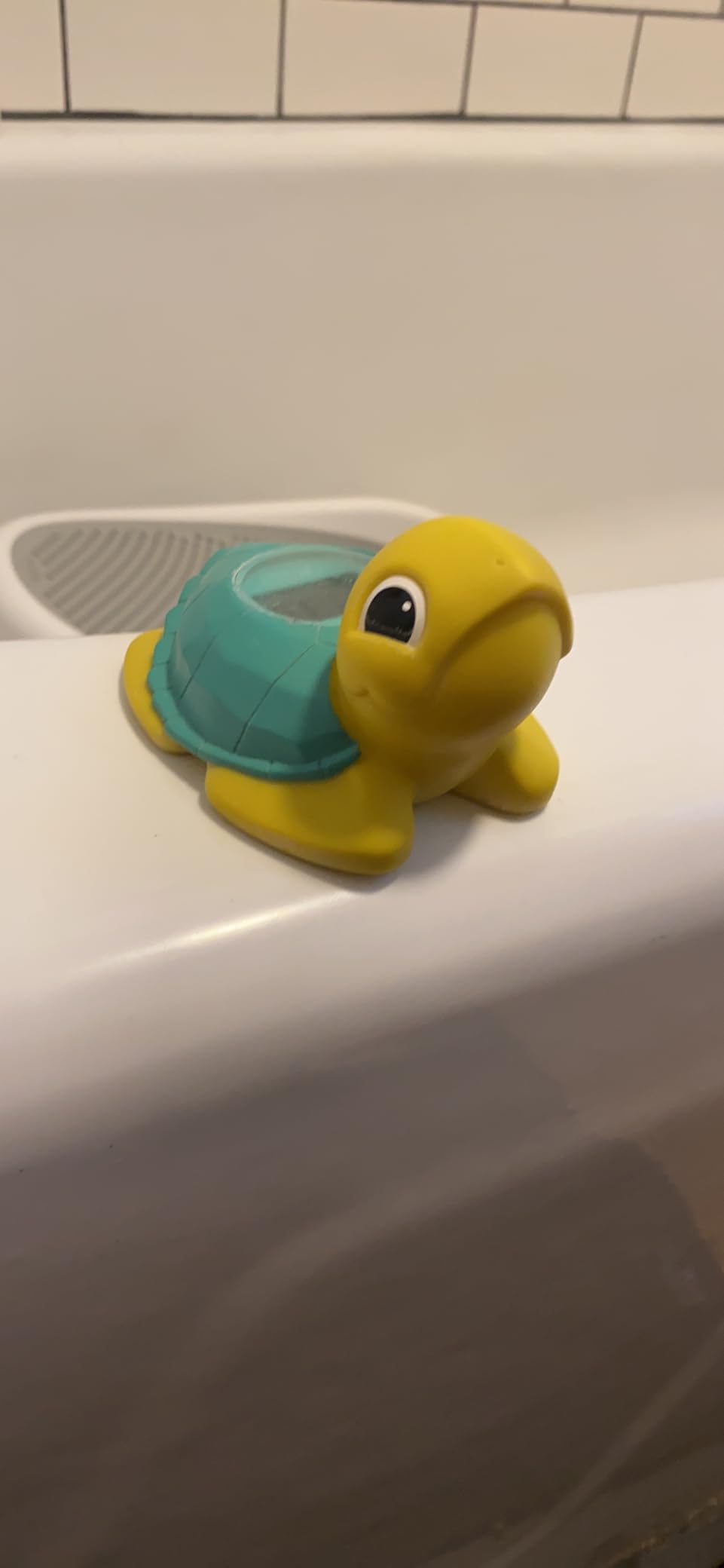 Dreambaby Baby Bath & Room Thermometer - Floating Turtle Toy for Water Temperature Monitoring - Turtle Temperature Monitoring for Newborns, Infants, and Toddlers with Fahrenheit Display customer photo 1