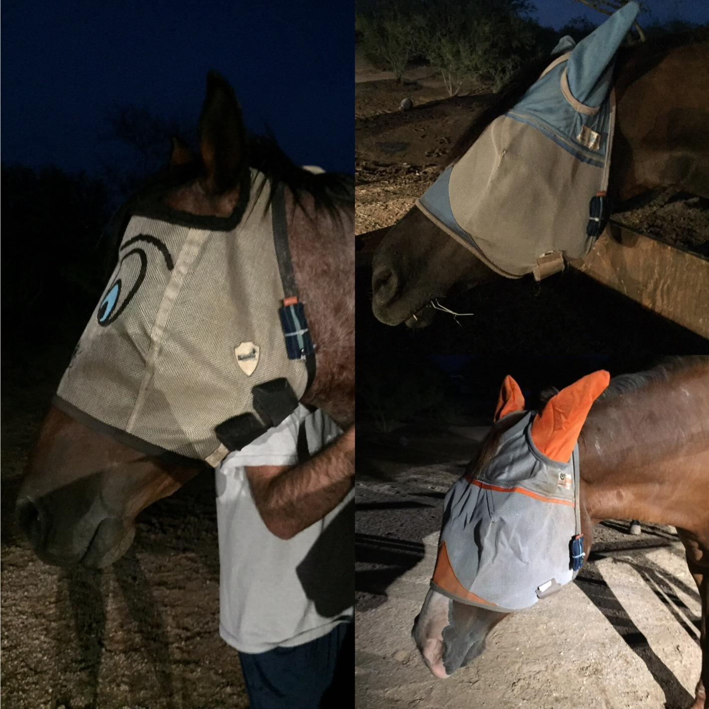 FitBark 2 Dog Activity Monitor | Health & Fitness Tracker for Dogs | Waterproof, Small & Leightweight (10 g) | Not a GPS Tracker customer photo 2