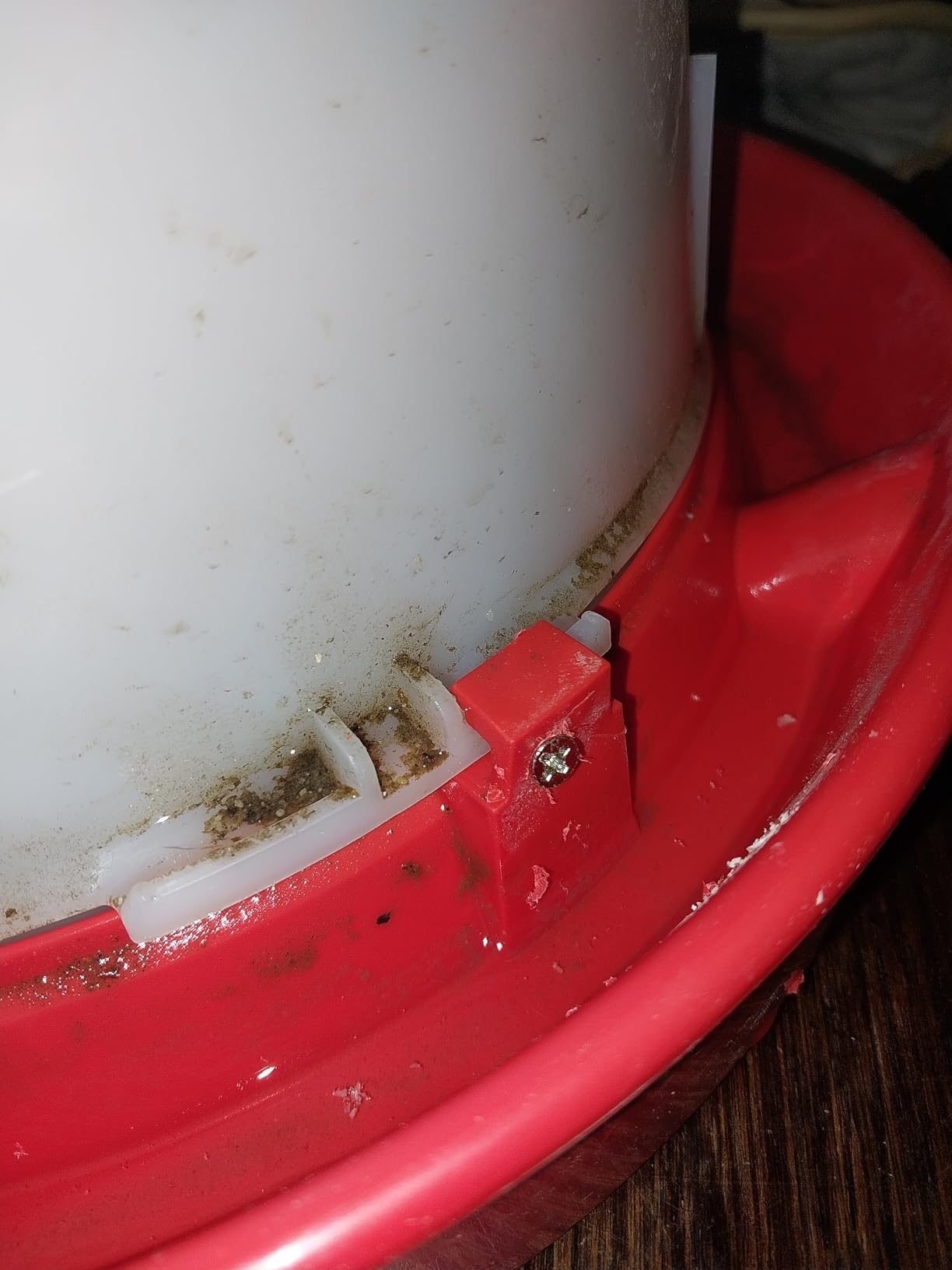 API 3 Gallon Heated Chicken or Bird Waterer with Overheating Protection, Galvanized Steel Handle, and Easy to Fill Funnel Design, White customer photo 1