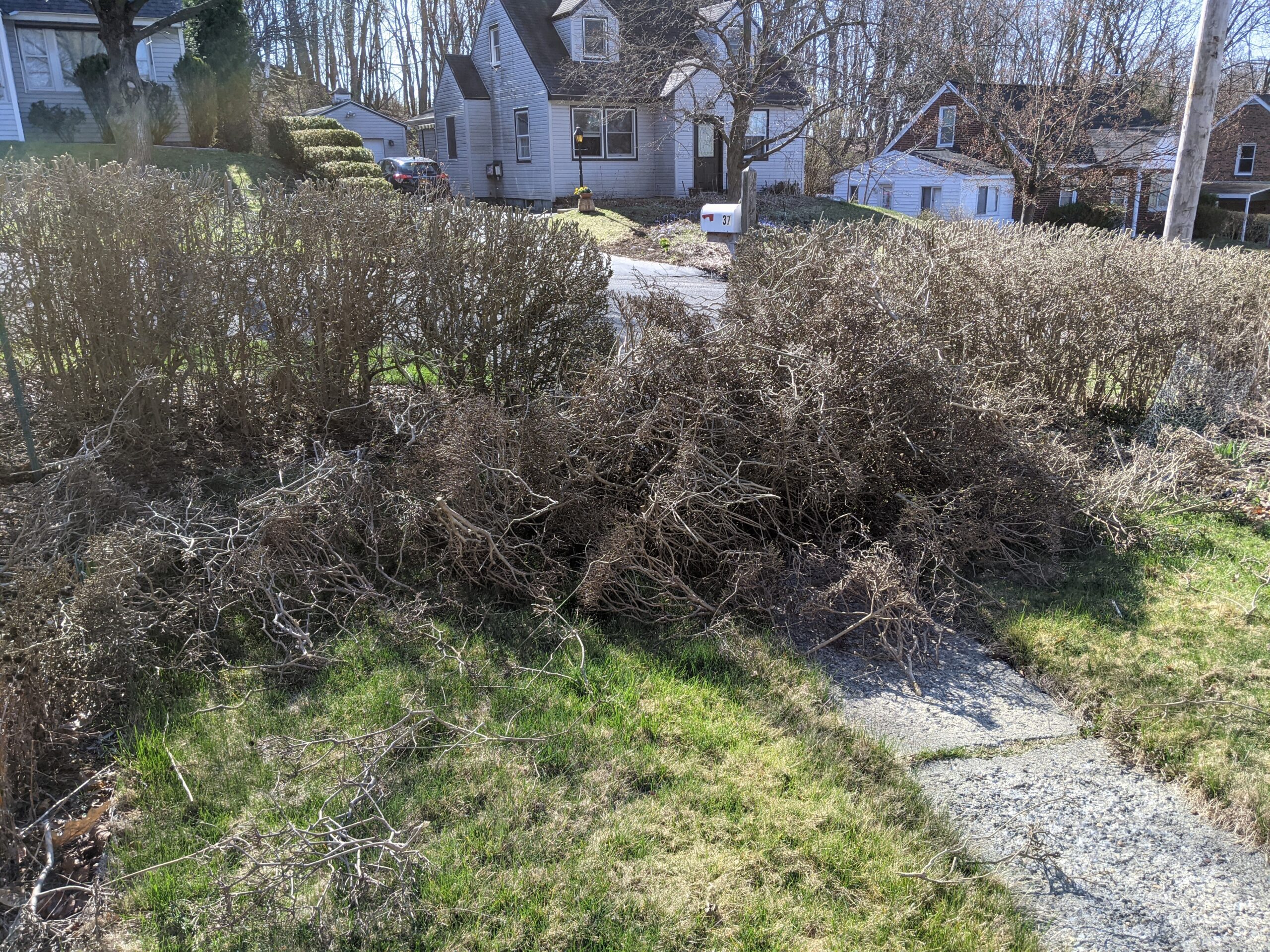 EGO POWER+ Hedge Trimmer Cordless, Electric Hedge Trimmer 24