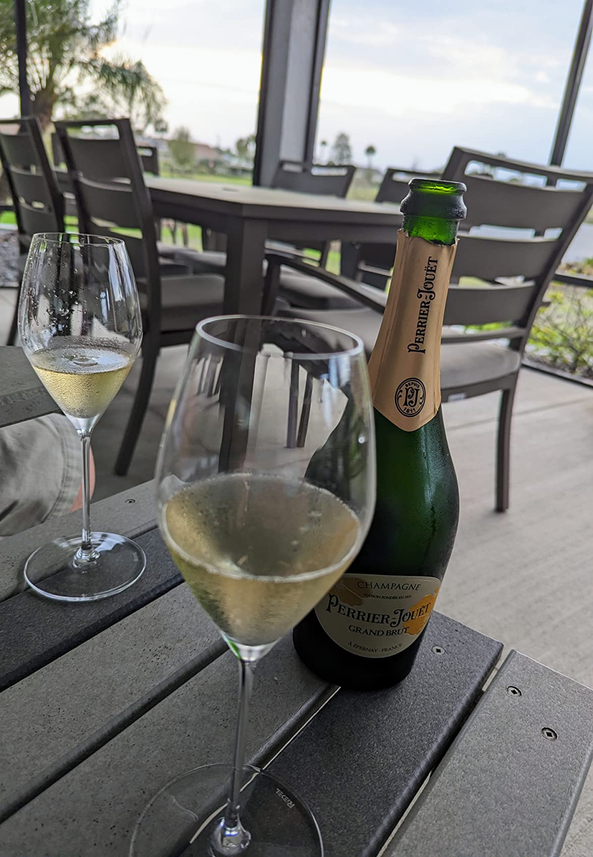 Riedel Performance Champagne Glasses, Crystal, Set of 2, Optic Impact Bowls for Sparkling Wine 6884/28 customer photo 1