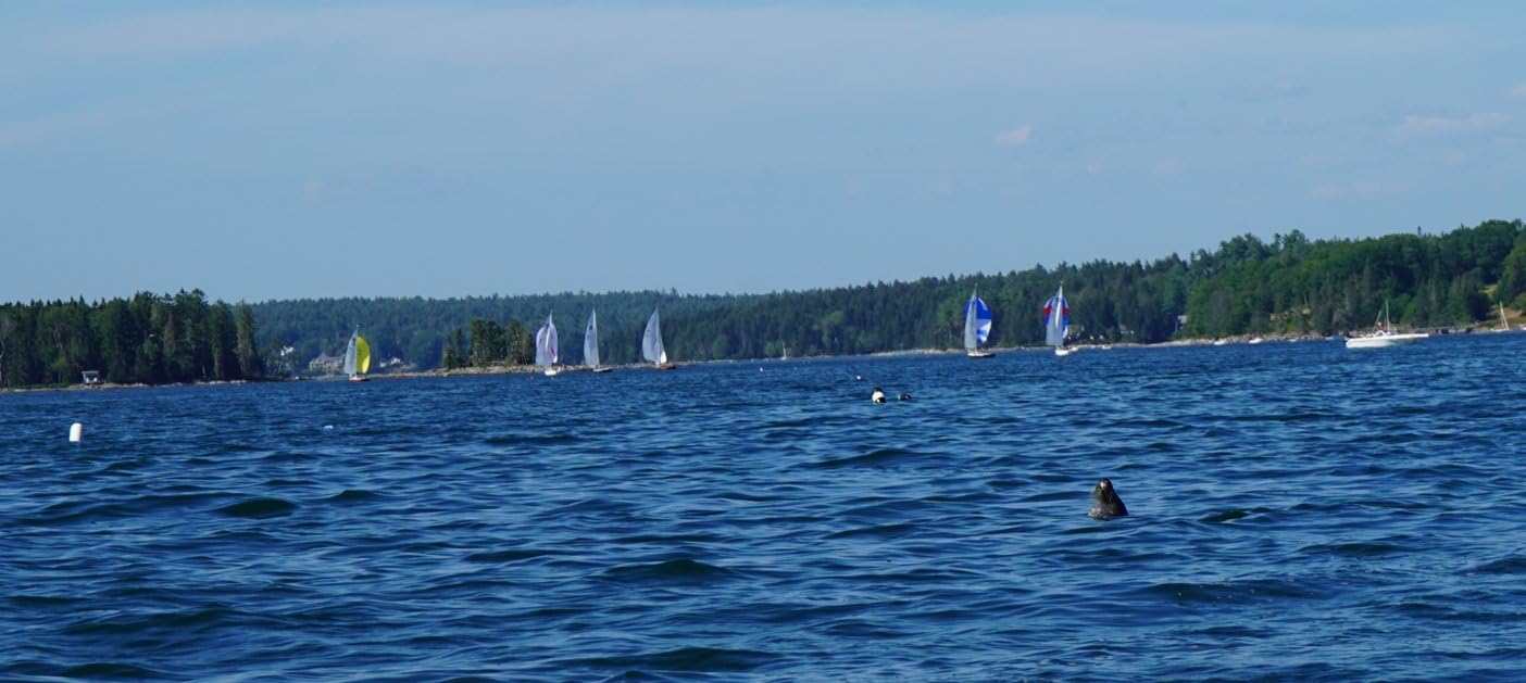 Sony ILCE-7M3K/B a7 III 24.2MP Full Frame Mirrorless Camera w 28-70mm Lens customer photo 2