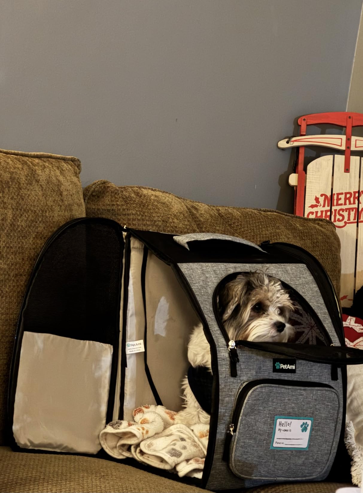 PetAmi Dog Backpack Carrier for Small Large Cat, Pet, Puppy, Ventilated Pet Hiking Backpack Travel Bag, Airline Approved Cat Backpack Carrier, Camping Biking Dog Bag Up to 18lbs Pet, Black customer photo 2