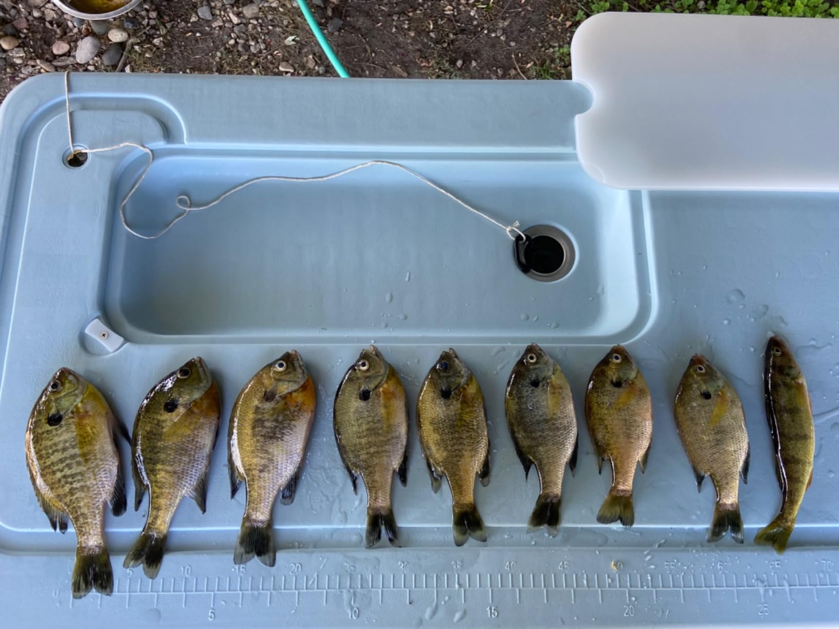 LUCKY Portable Fish Finder Handheld Kayak Fish Finders Wired Fish Depth Finder Sonar Sensor Transducer for Boat Fishing Sea Fishing customer photo 1