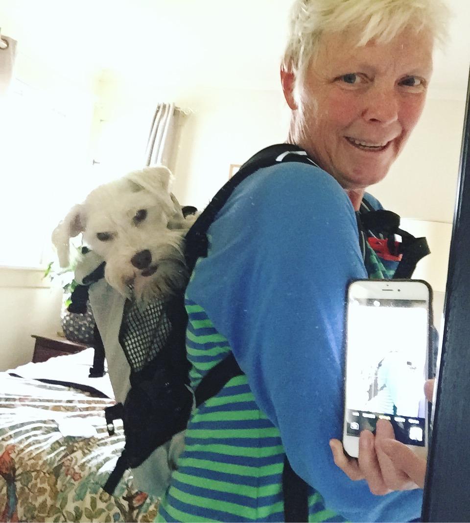 K9 Sport Sack Plus 2 - Adjustable, Backpack-Style Carrier with Multi-Functional Storage Pack, Thick Shoulder Straps & Padded Back Panel customer photo 2