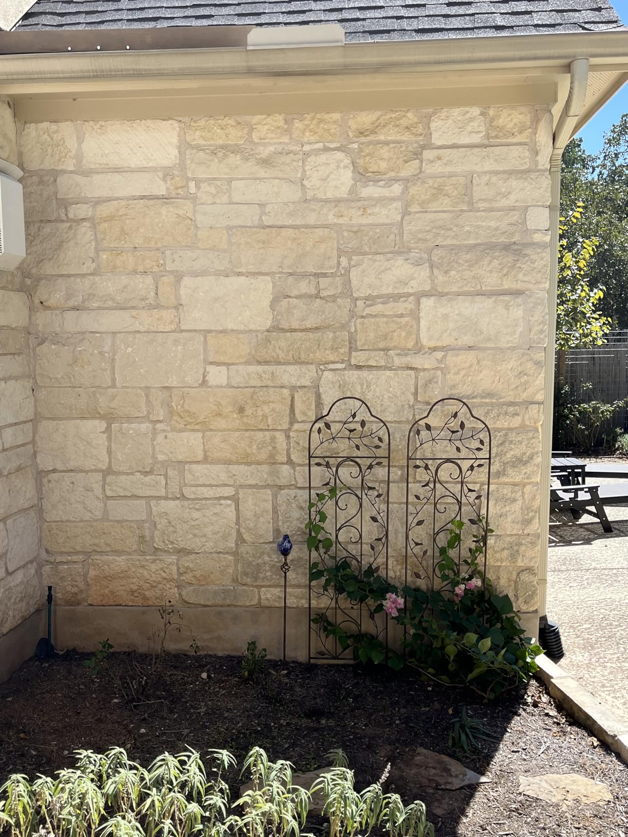 Best Choice Products 60x15in Iron Garden Trellis, Arched Outdoor Decoration w/Branches, Birds for Lawn, Garden, Backyard, Climbing Plants - Bronze customer photo 1