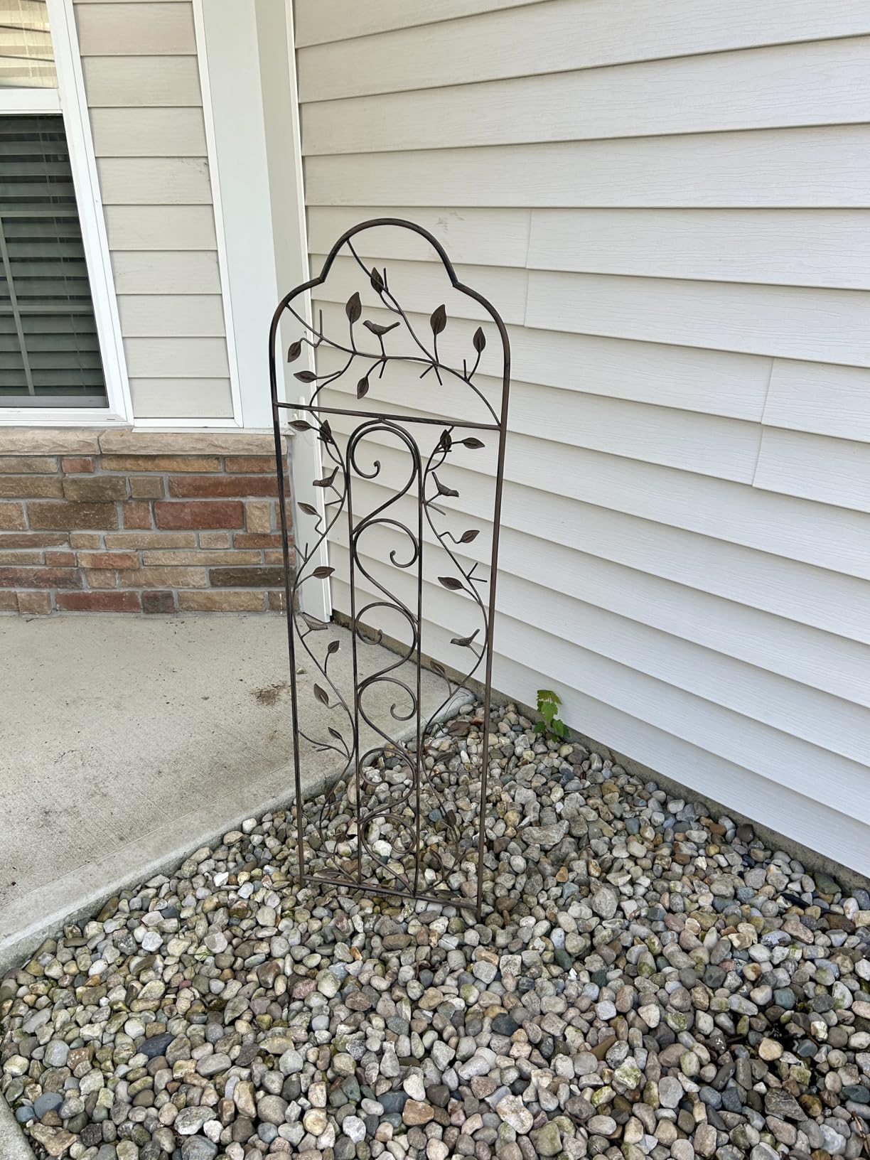 Best Choice Products 60x15in Iron Garden Trellis, Arched Outdoor Decoration w/Branches, Birds for Lawn, Garden, Backyard, Climbing Plants - Bronze customer photo 2