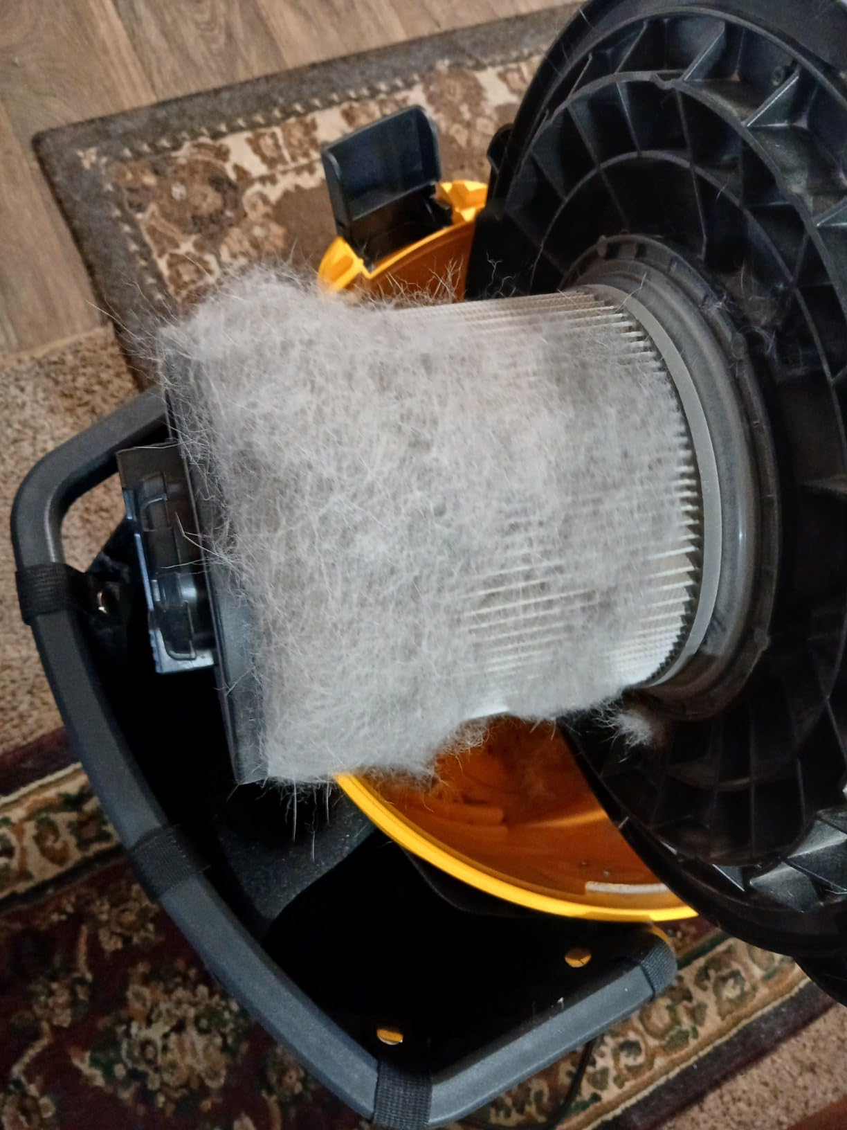 DEWALT DXV16PA 16 Gallon Poly Wet/Dry Vac/Acc, 6.5HP Shop Vacuum Wet/Dry for Jobsite/Workshop, Yellow customer photo 2