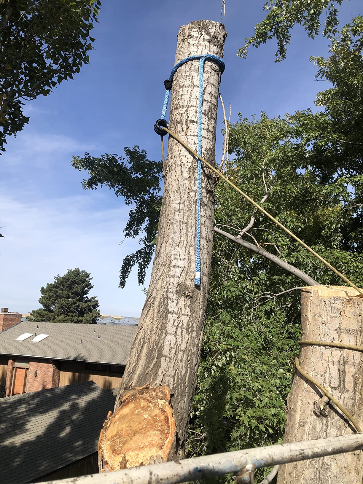 Notch X-Rigging Ring Whoopie Sling 1/2