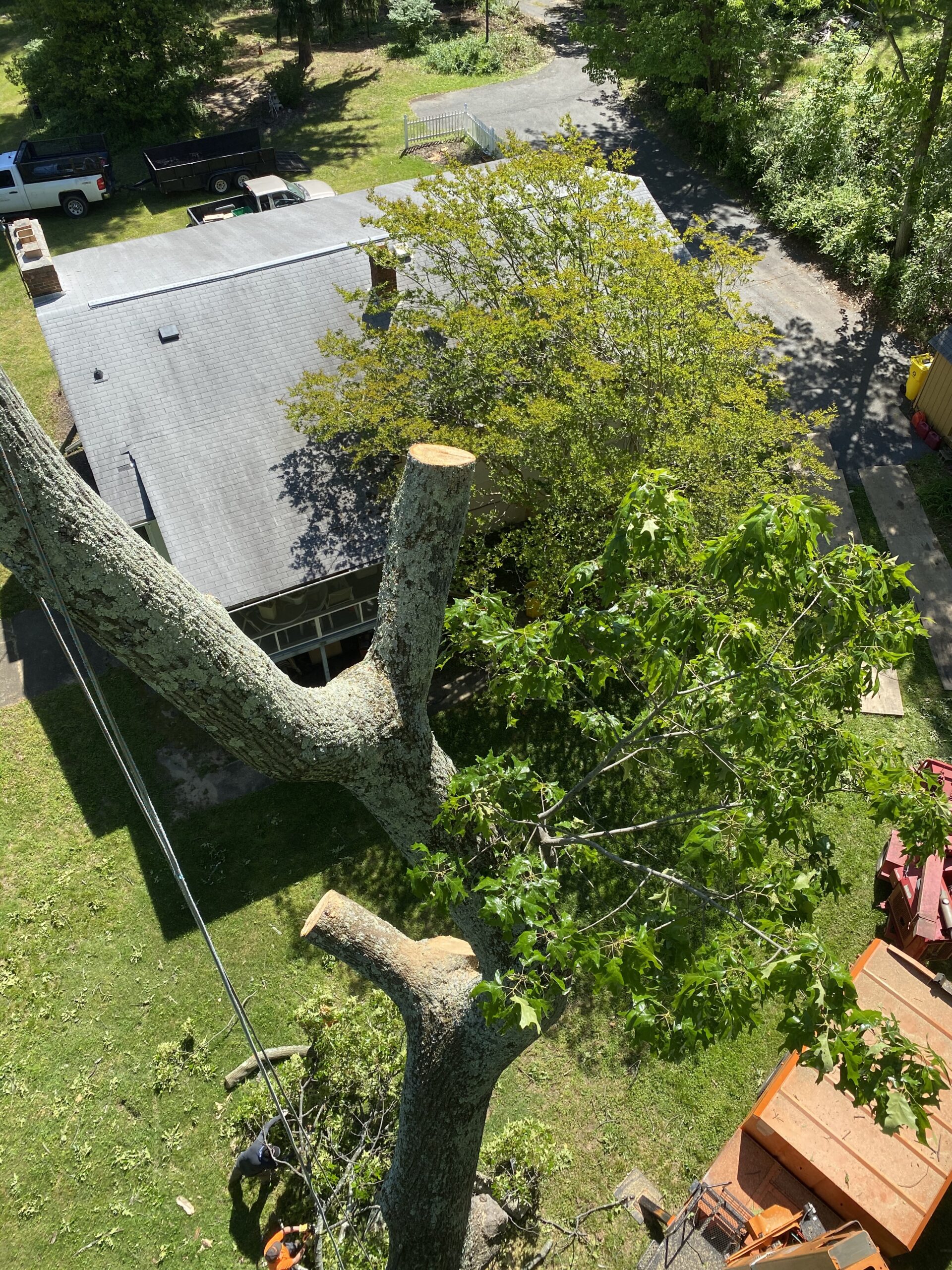 Notch Rope Logic X-Rigging XL Beast Whoopie Sling 3/4