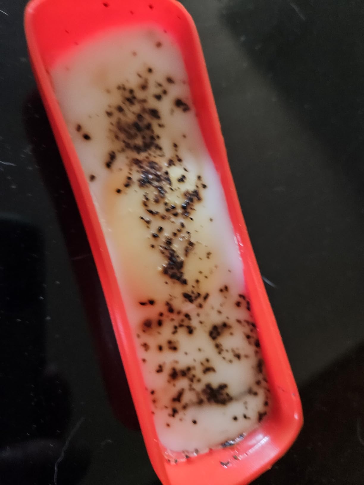 GOSUN Go Portable Camping Stove for 0.9 L Food | Effortless Outdoor Cooking with Fusion Solar Oven | Patented Solar Cooking Technology | Solar Oven Ideal for Hiking & Camping | Silver customer photo 1