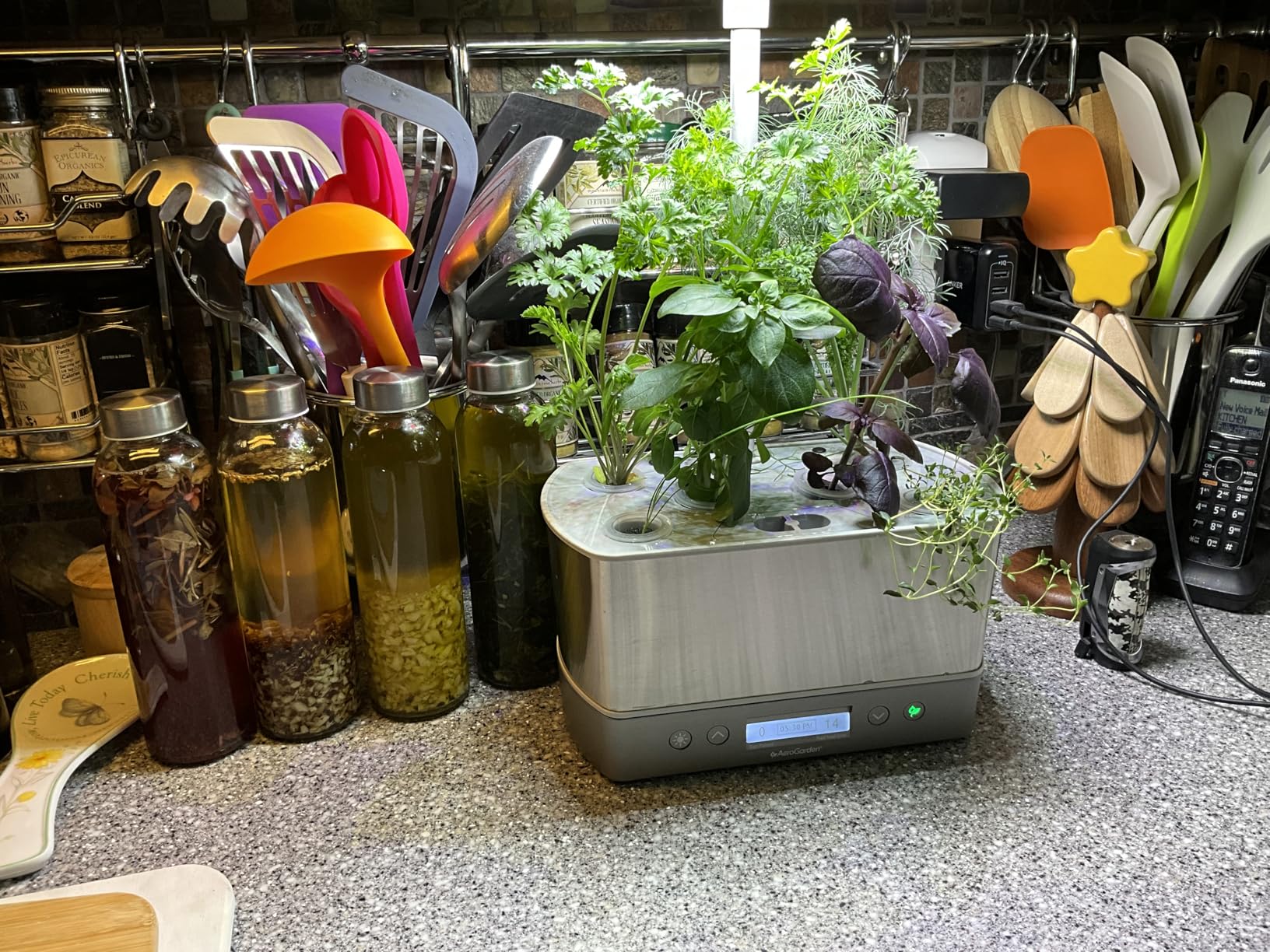 AeroGarden Harvest Elite Indoor Garden Hydroponic System with LED Grow Light and Seed Kit, Holds up to 6 Pods, Stainless Steel customer photo 1