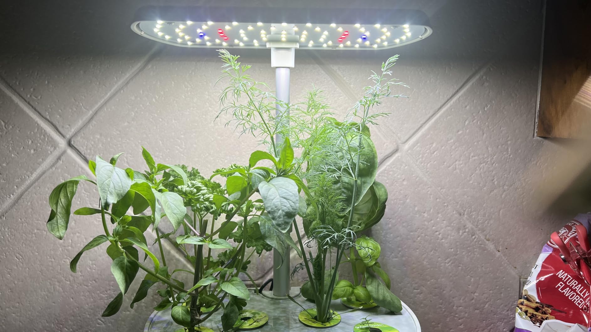 AeroGarden Harvest Elite Indoor Garden Hydroponic System with LED Grow Light and Seed Kit, Holds up to 6 Pods, Stainless Steel customer photo 2