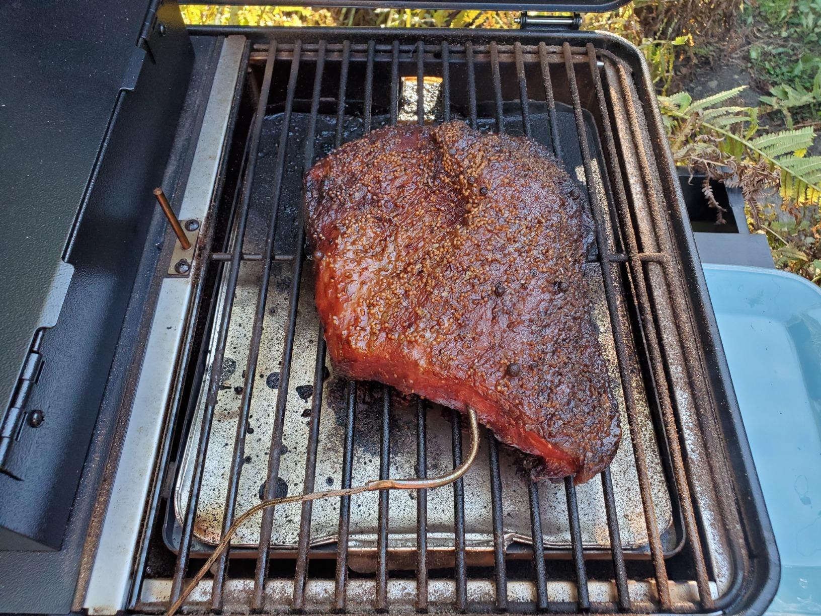 Traeger Ranger Portable Wood Pellet Grill and Smoker - Electric Tabletop Pellet Smoker with Digital Arc Controller, Cast Iron Griddle, For Tailgating and Outdoor Cooking customer photo 1