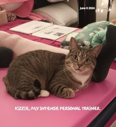 BalanceFrom 6x2 Feet 3-Panel Folding Gymnastics Mat - 2-Inch Thick Pad with Vinyl Surface and Carrying Handles for Tumbling, Yoga, Pilates, Home Workouts, and Martial Arts customer photo 2