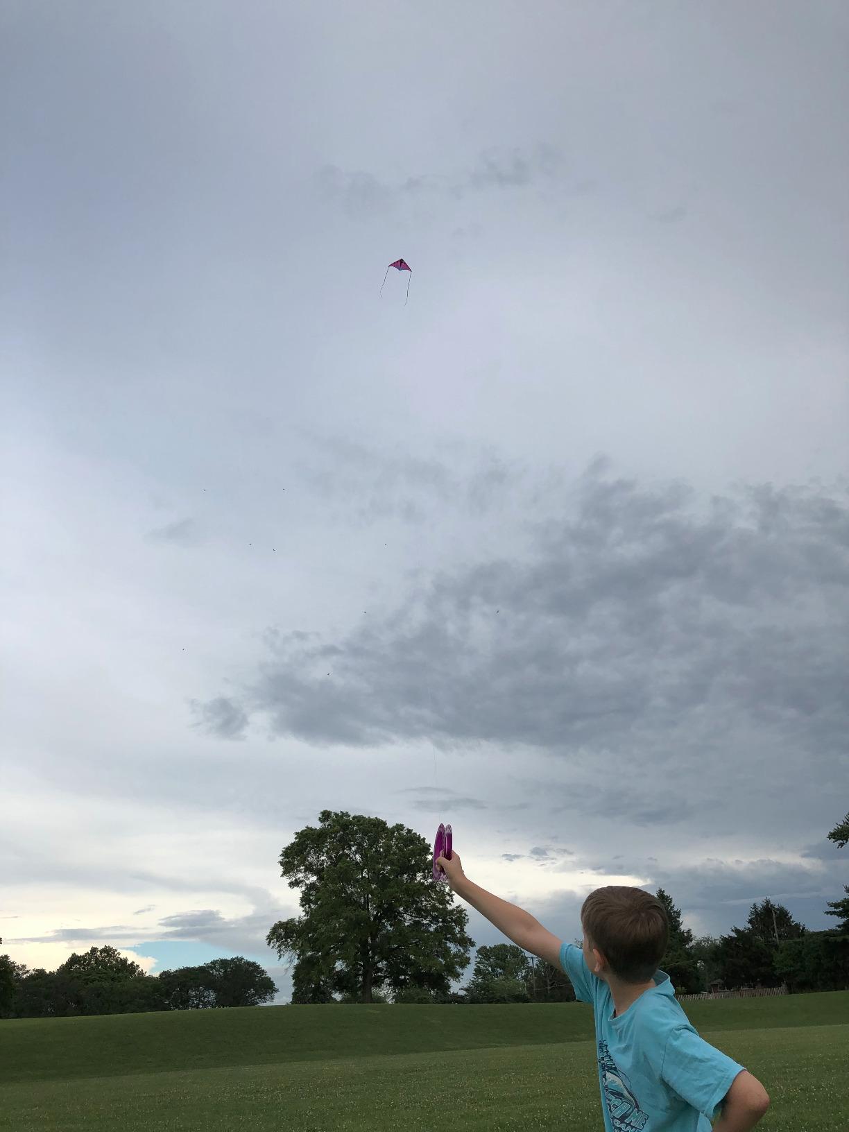 Prism Kite Technology Zenith 5 Single Line Delta Kite customer photo 2