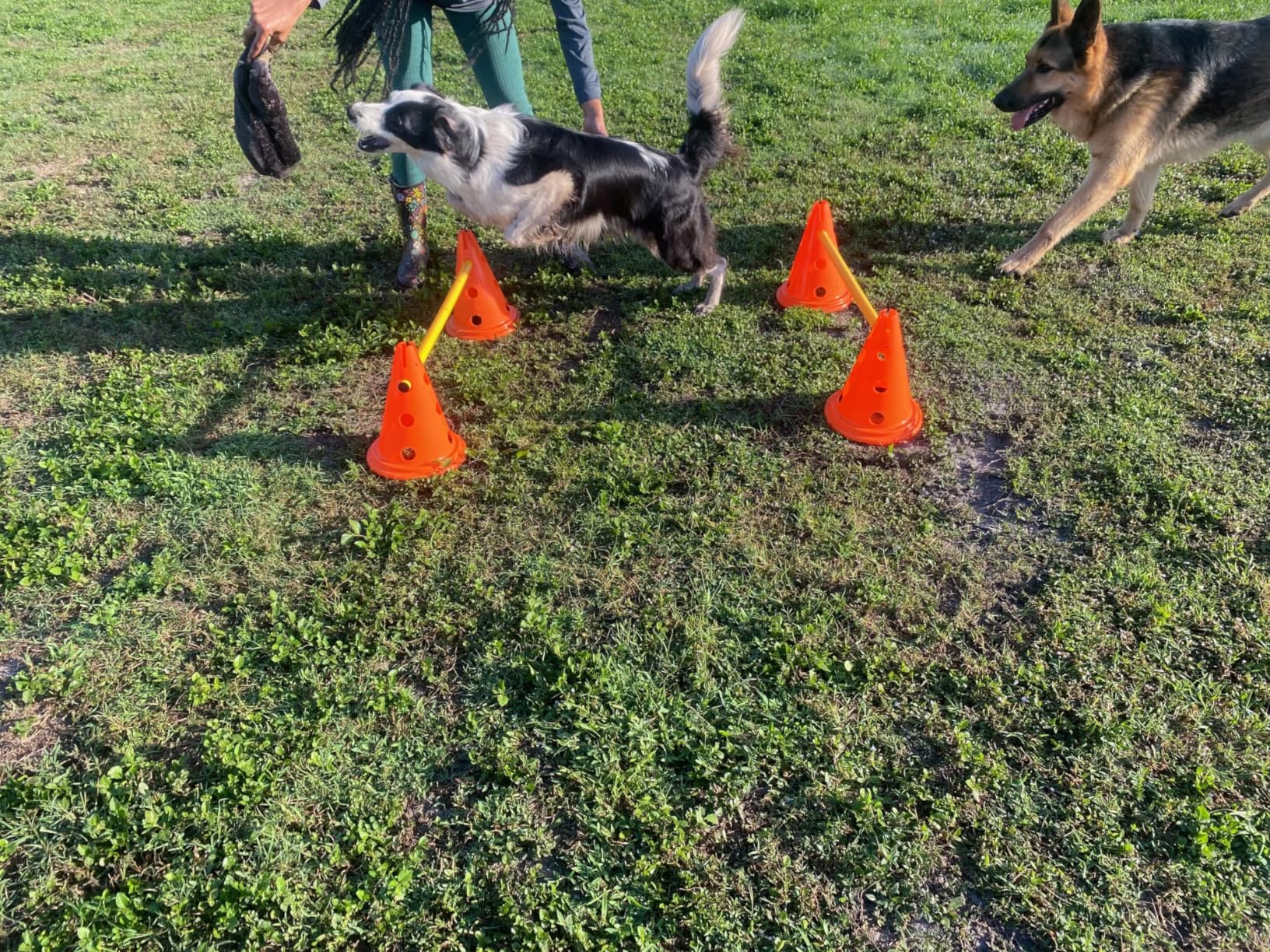 TRIXIE Dog Agility Hurdle Cone Set - Dog Agility Set with Height Adjustable Crossbar for Beginners & Advanced customer photo 1