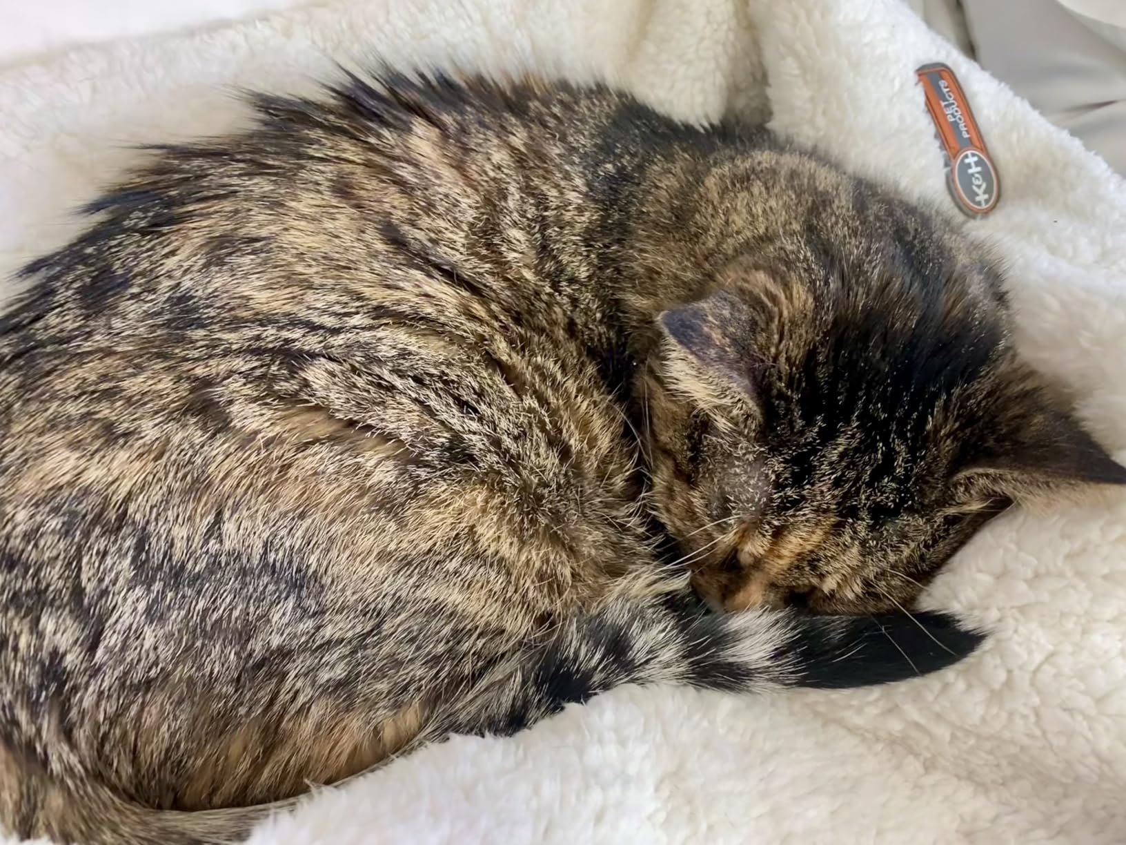 K&H Pet Products Heated Cat Bed Indoor, Thermo-Snuggle Cup Bomber Soft Heated Pet Bed for Large Indoor Cats and Small Dogs, Machine Washable, Waterproof Heated Pad, Safety Listed - 18 X 14in Gray customer photo 2