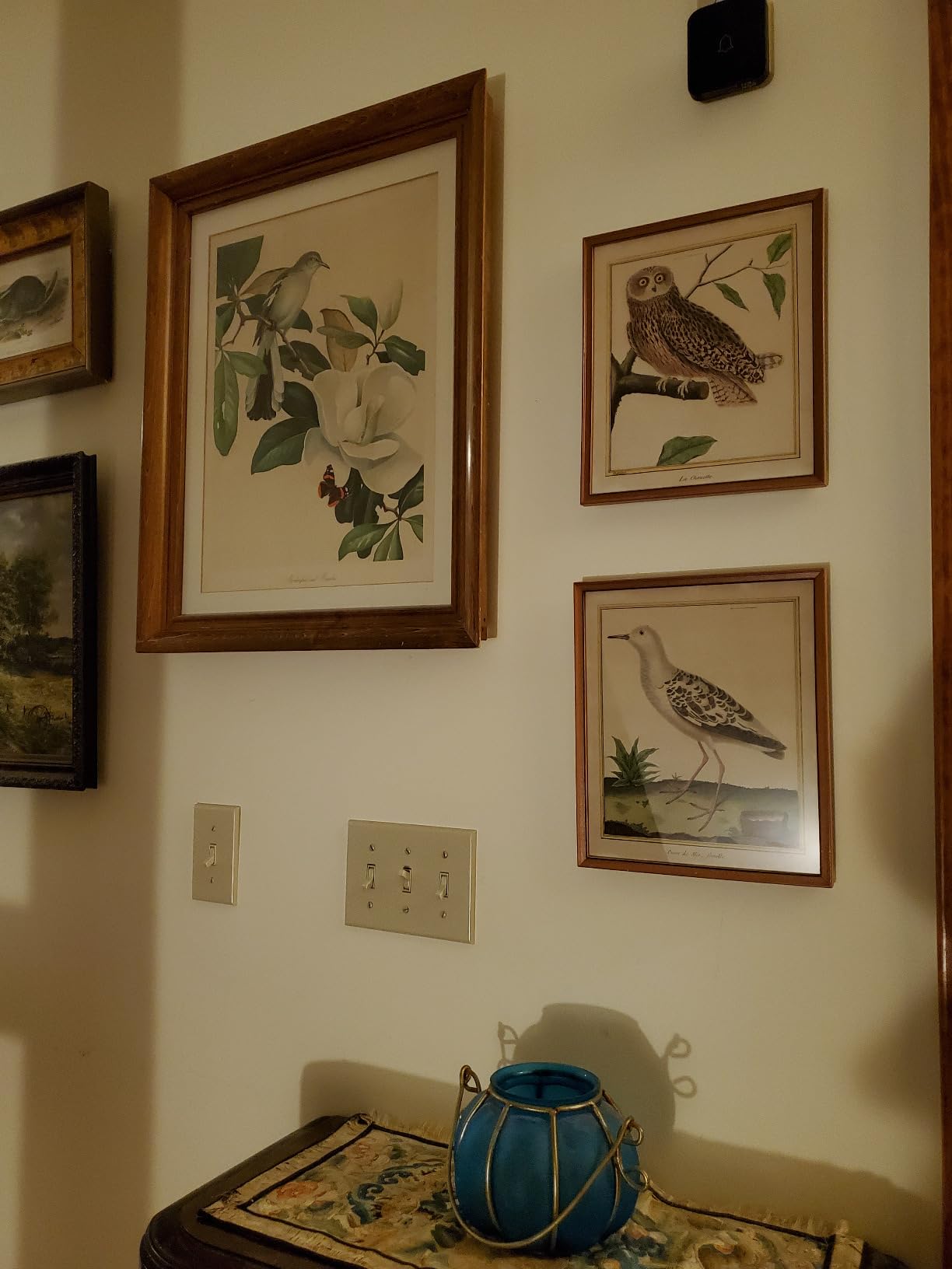 AVANTEK Wireless Door Bell, CW-12 Mini Waterproof Doorbell Chime Operating at 1000 Feet with 52 Melodies, 5 Volume Levels & LED Flash customer photo 2