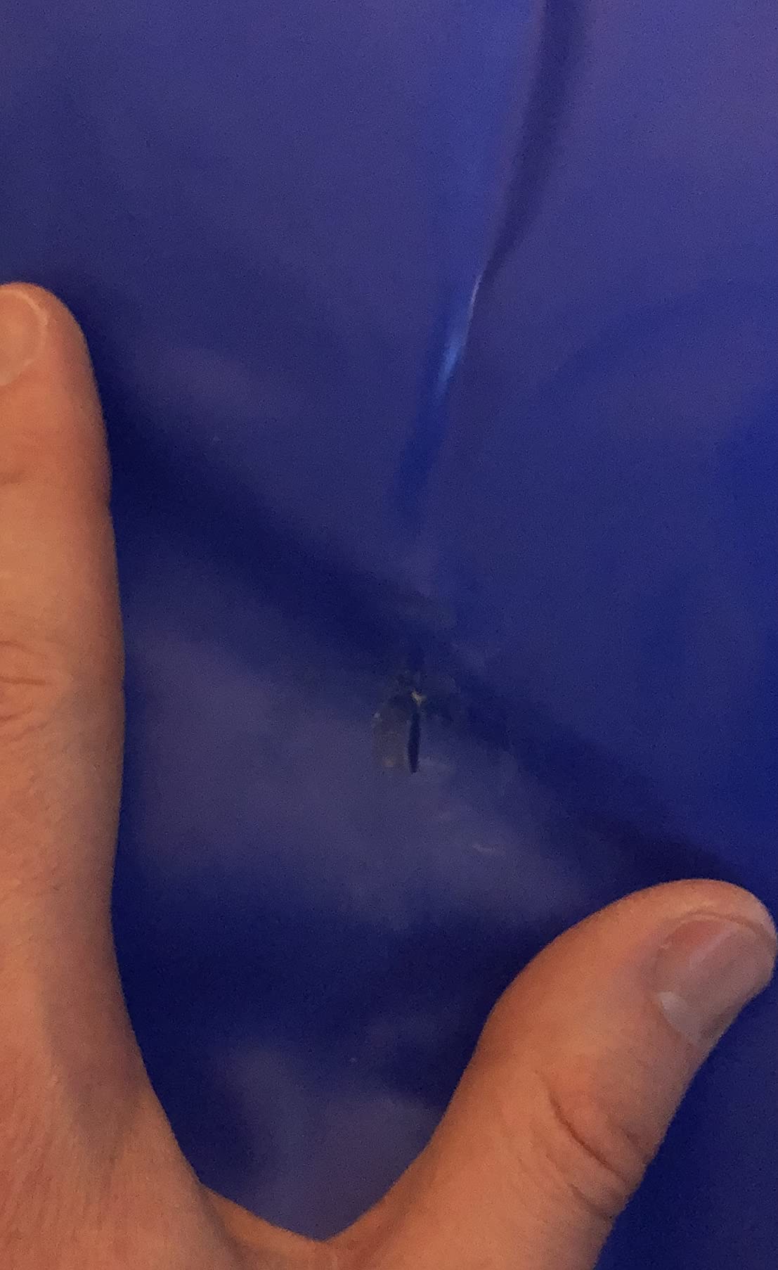 Franklin Sports Arctic Trails Single customer photo 2