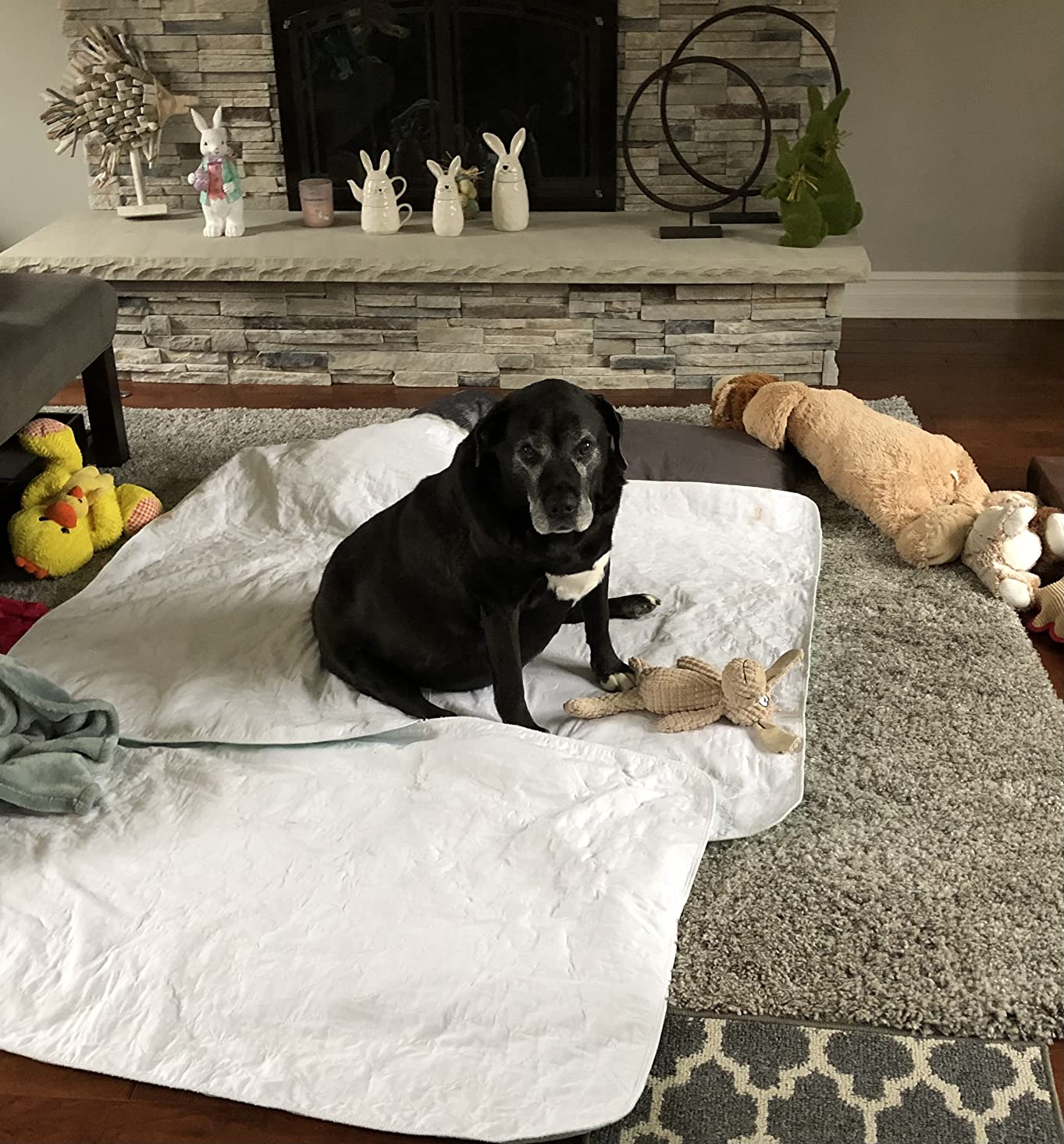 Sures Washable, Waterproof Bed Pad & Mattress Protector for Incontinence (34