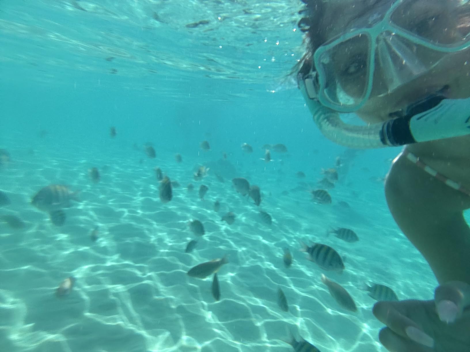 Greatever Dry Snorkel Set,Panoramic Wide View Anti-Fog Scuba Diving Mask,Professional Snorkeling Gear for Adults Kids customer photo 2