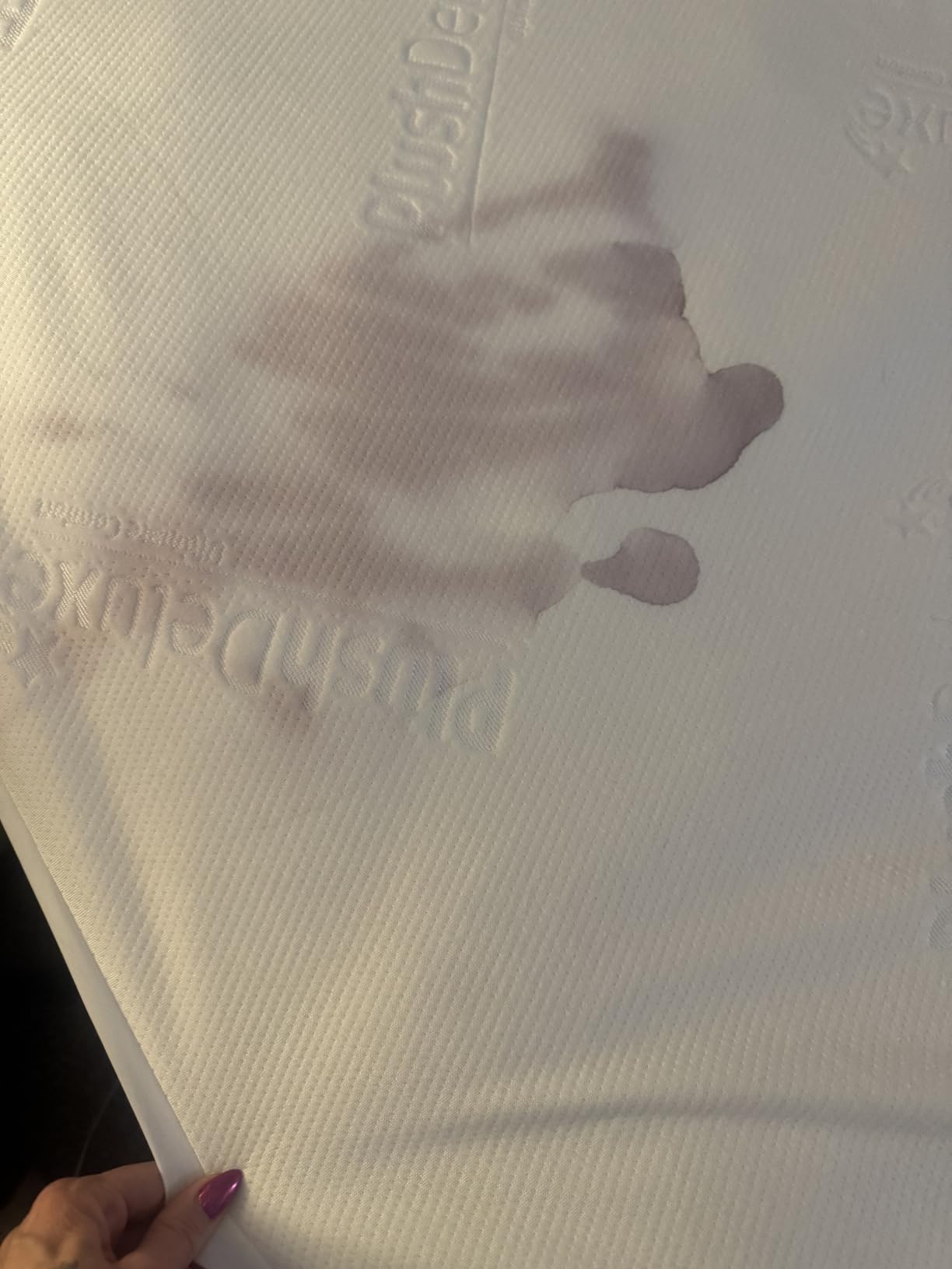 PlushDeluxe Premium Bamboo Mattress Protector - Queen Size, Waterproof, & Ultra Soft Breathable Noiseless Washable Bed Mattress Cover for Comfort & Protection - White customer photo 1