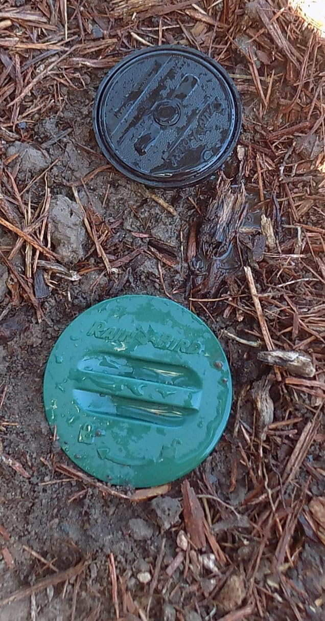 Rain Bird LG3HE In-Ground Impact Sprinkler with Click-N-Go Hose Connect customer photo 2