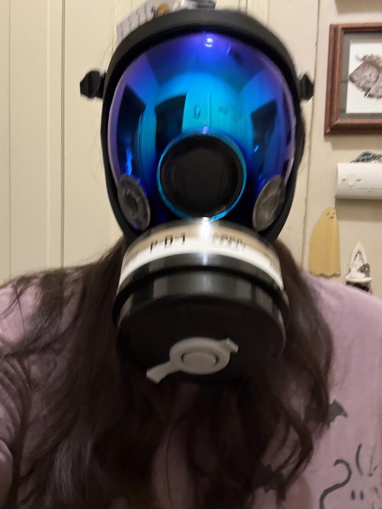 ST-100X Survival Respirator - Compatible with Industry Standard 40mm Gas Filter Canister - CE Tested customer photo 1