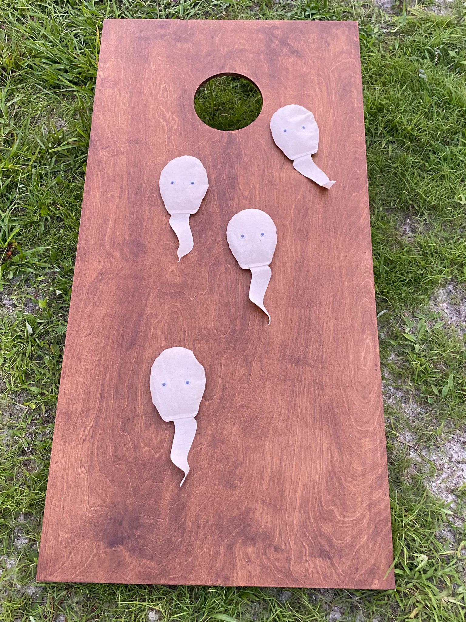 GoSports 4 ft x 2 ft Regulation Size Wooden Cornhole Boards Set with Dark Brown Finish - Includes Carrying Case customer photo 2