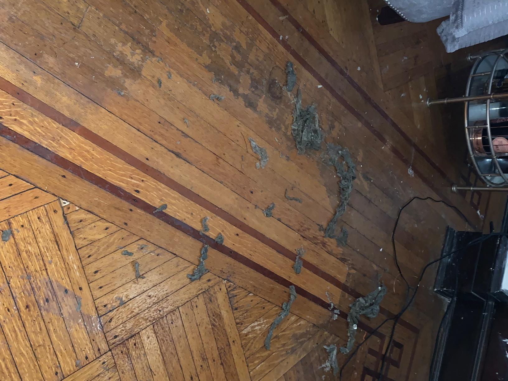 Red Devil 2108 Long Handle Heavy Duty Floor Scraper with 4-Inch Double Edge Steel Blade, Cushioned Grip Handle for Tile, Linoleum, and Carpet Removal customer photo 1