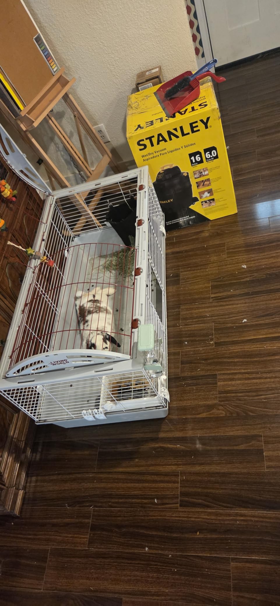 RUBYHOME Rabbit Litter Box Bunny Litter Box Guinea Pig Potty Trainer Corner Bedding Pet Potty Pan for Rabbit Guinea Pig Ferret Small Animal Cage Accessories customer photo 1