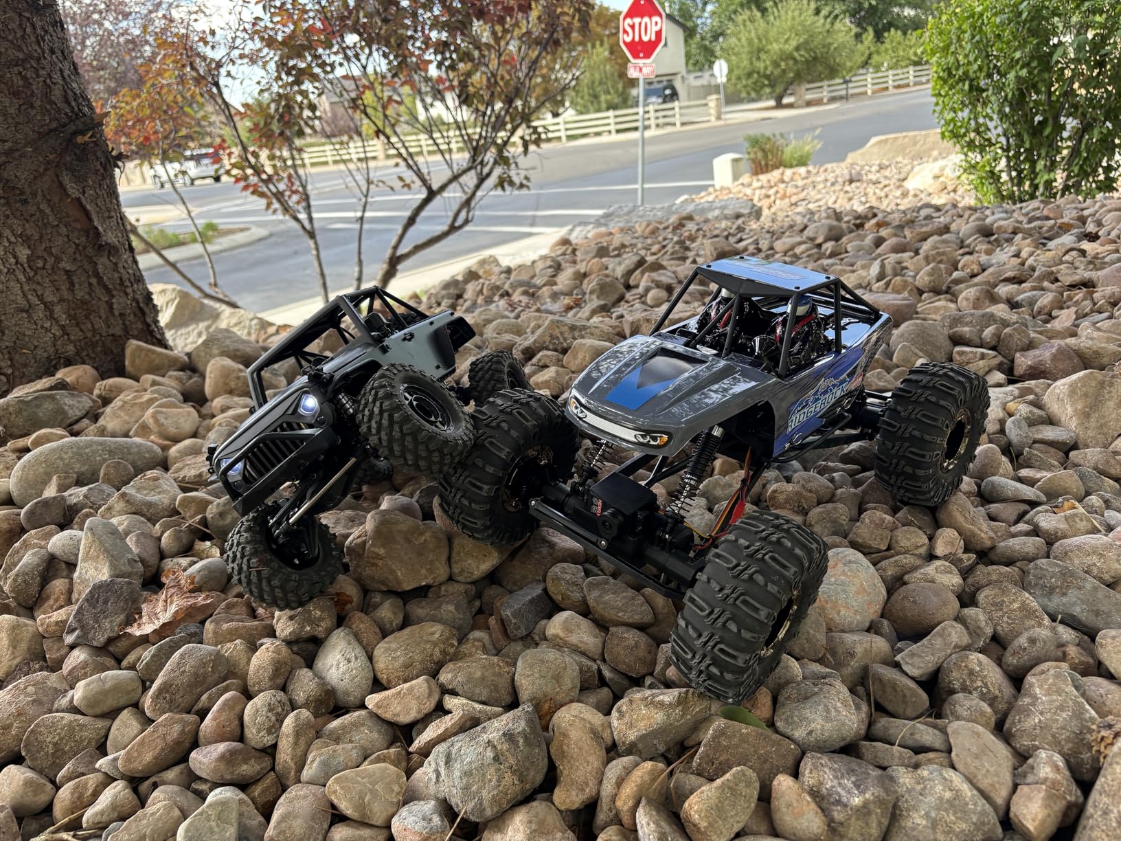 Redcat Racing Danchee Ridgerock 1/10 Scale 4WD Electric RC Rock Crawler - RC Truck RTR with 2.4GHz Radio, Dual Motors, 4-Wheel Steering, USB Charger with RC Crawler Li-ion Battery customer photo 2