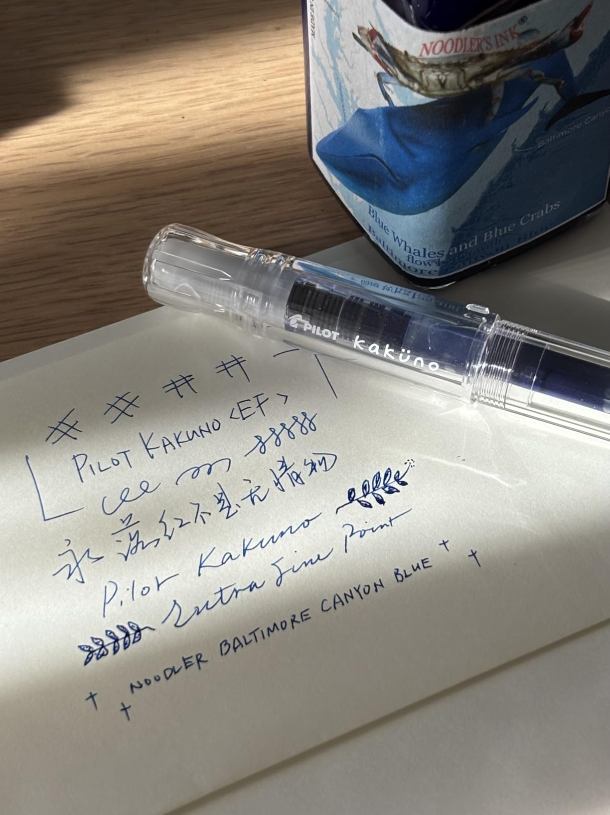PILOT Kakuno Fountain Pen, Clear Barrel, Extra Fine Nib (10816) customer photo 2