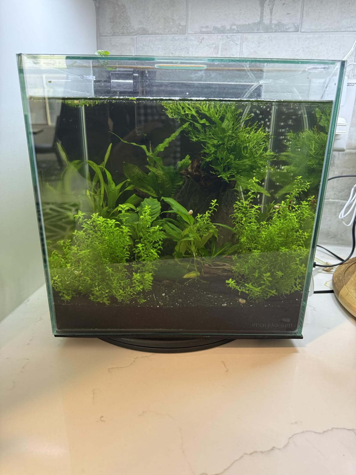 12 Inch Heavy Duty Rotating Swivel With Steel Ball Bearings Stand for Monitor/TV/Turntable/Lazy Susan customer photo 1