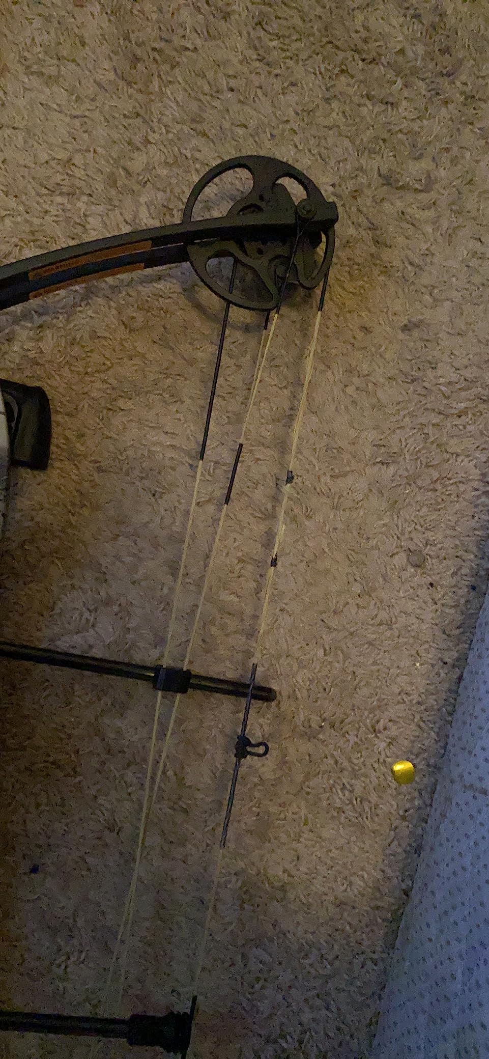 Bear Archery Compound Bow - Includes Limitless Dual Cam Quiver, Sight and Rest, God's Country customer photo 1