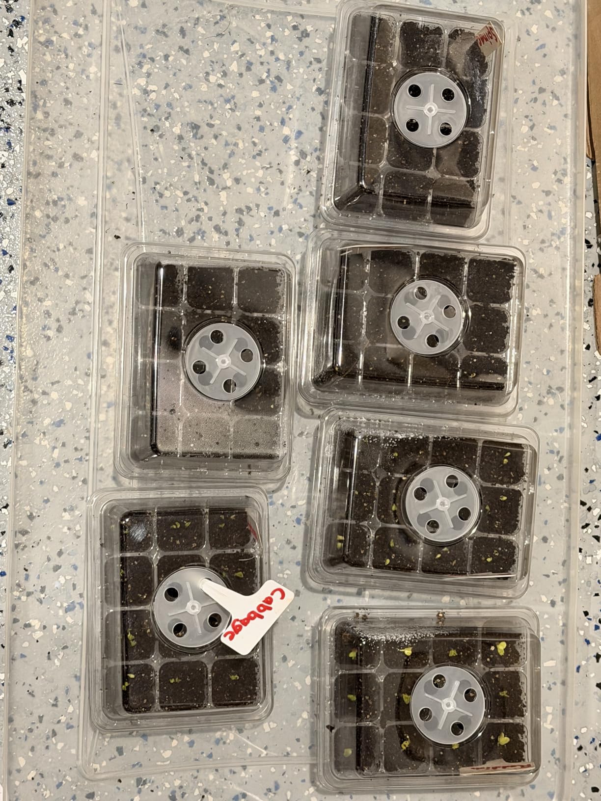 MIXC 10 Packs Seed Starter Tray Seed Starter Kit with Humidity Dome (120 Cells Total Tray) Seed Starting Trays Plant Starter Kit and Base Mini Greenhouse Germination Kit for Seeds Growing Starting customer photo 1