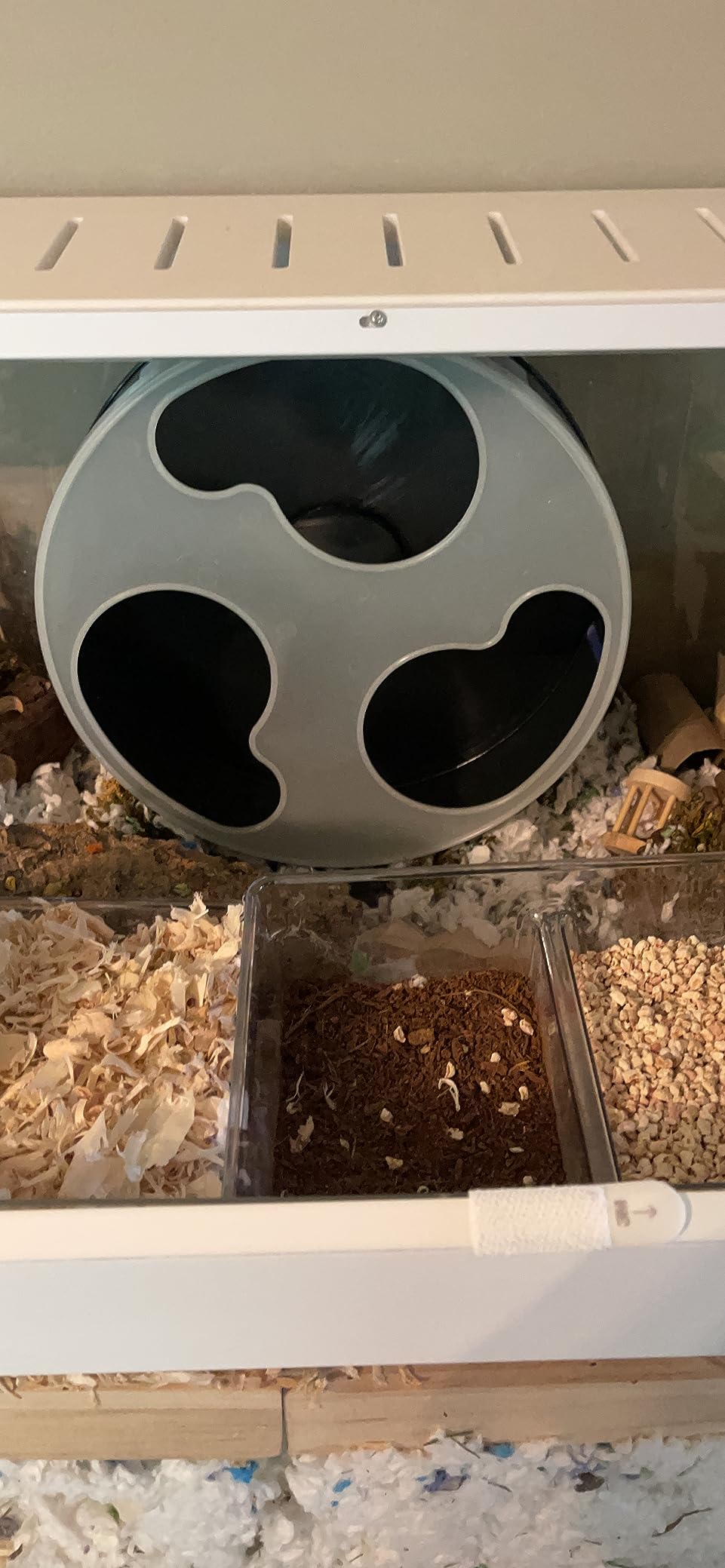 Exotic Nutrition Silent Runner Glow Wheel - 12