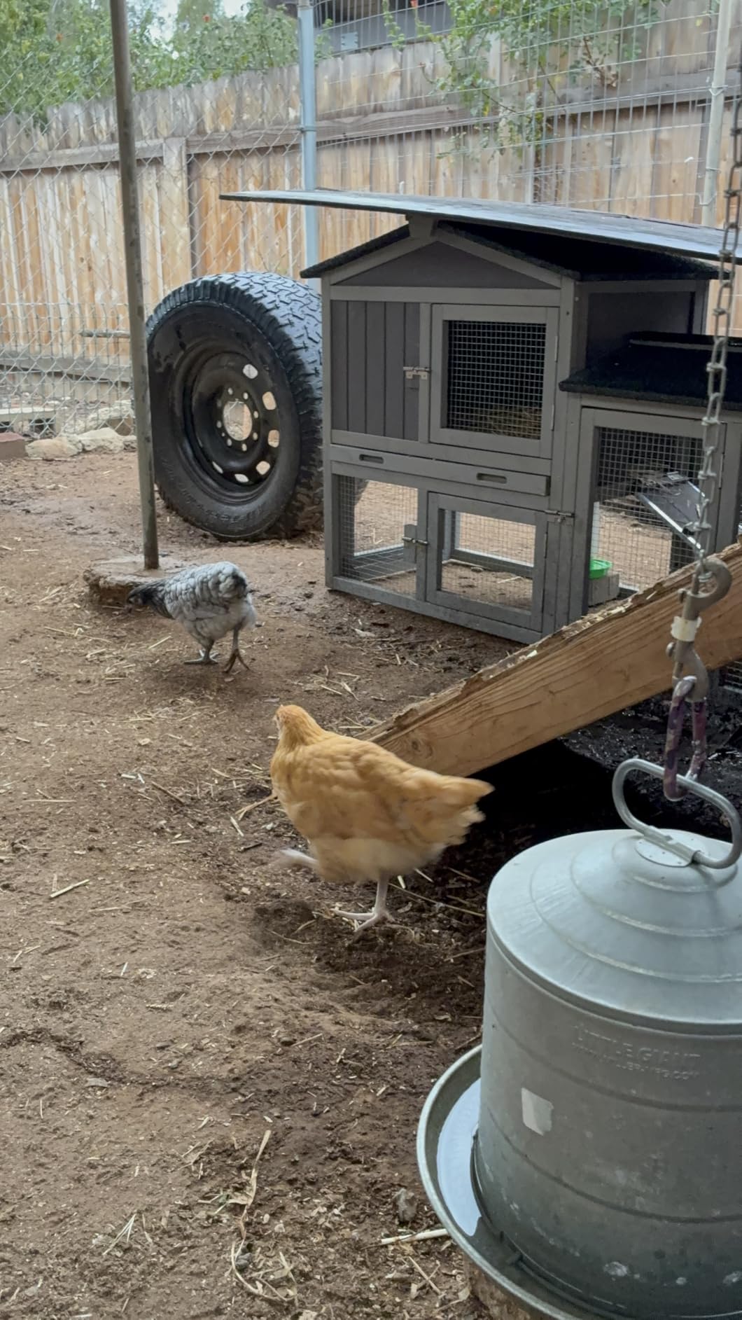 Aivituvin Chicken Coop for 2 Chickens, Wooden Duck House Outdoor Hen House Poultry Quail Cage-Expandable Design customer photo 1