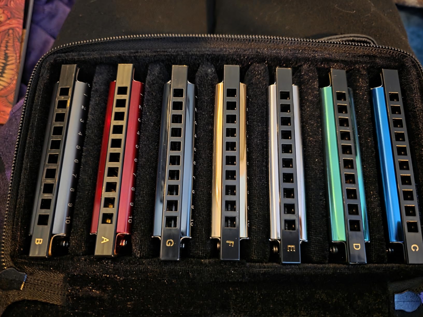 East top Harmonica Set for Beginners, 7 Keys Diatonic Mouth Organ with Case, A, B, C, D, E, F, G, Professional, Bronze Reed, Polished Finish customer photo 1