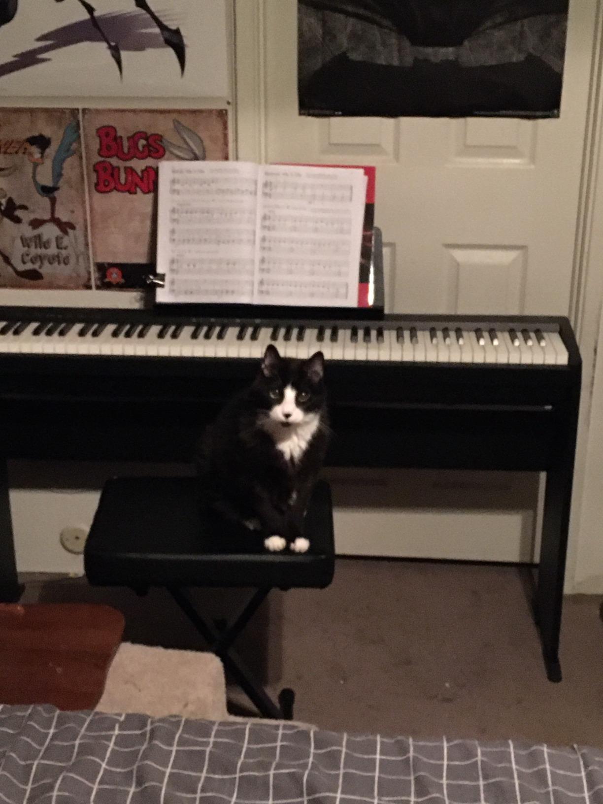 Roland FP-10 | Compact 88-Note Digital Piano | SuperNATURAL Piano Tones | Authentic Acoustic Feel Keyboard | Great for Beginners & Experienced Players | Bluetooth & MIDI Connectivity customer photo 2