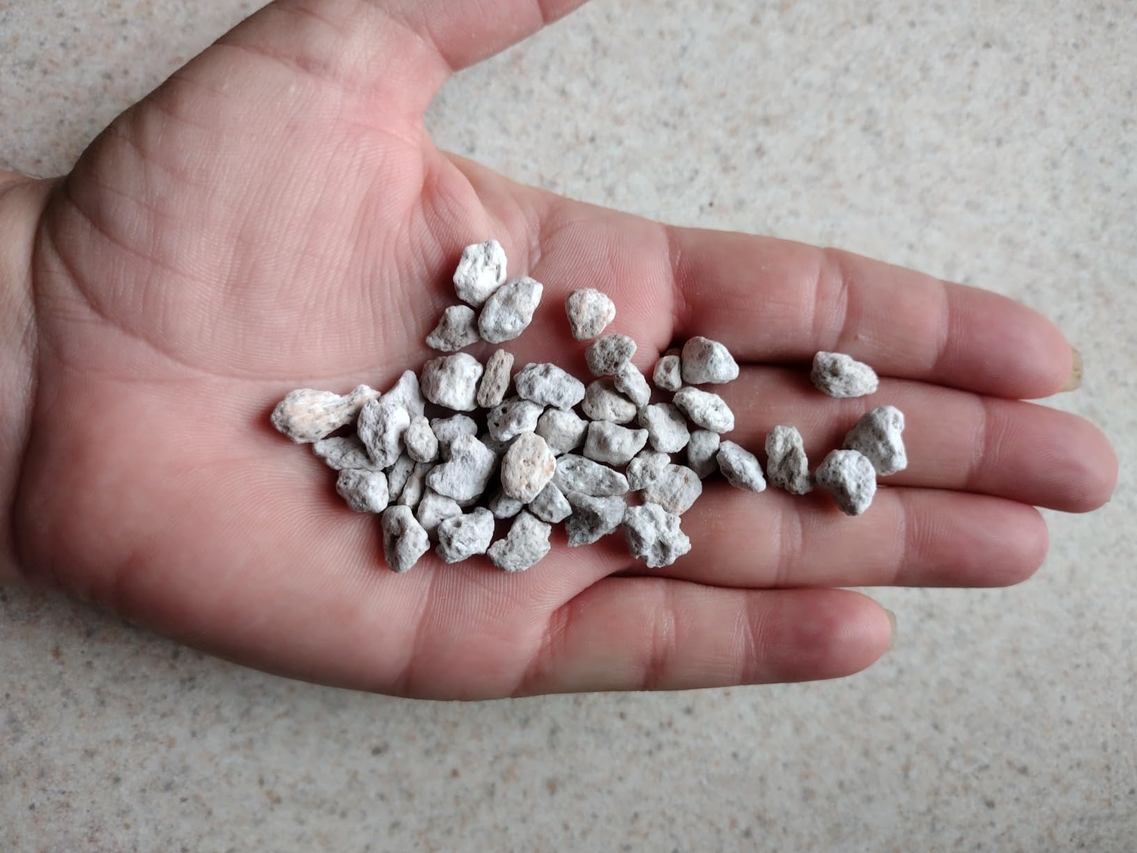 Pumice for Bonsai, Succulent, Cactus, Alocasia, Monstera, and Tropical Aroids | 2 Quarts Bag | 1/4