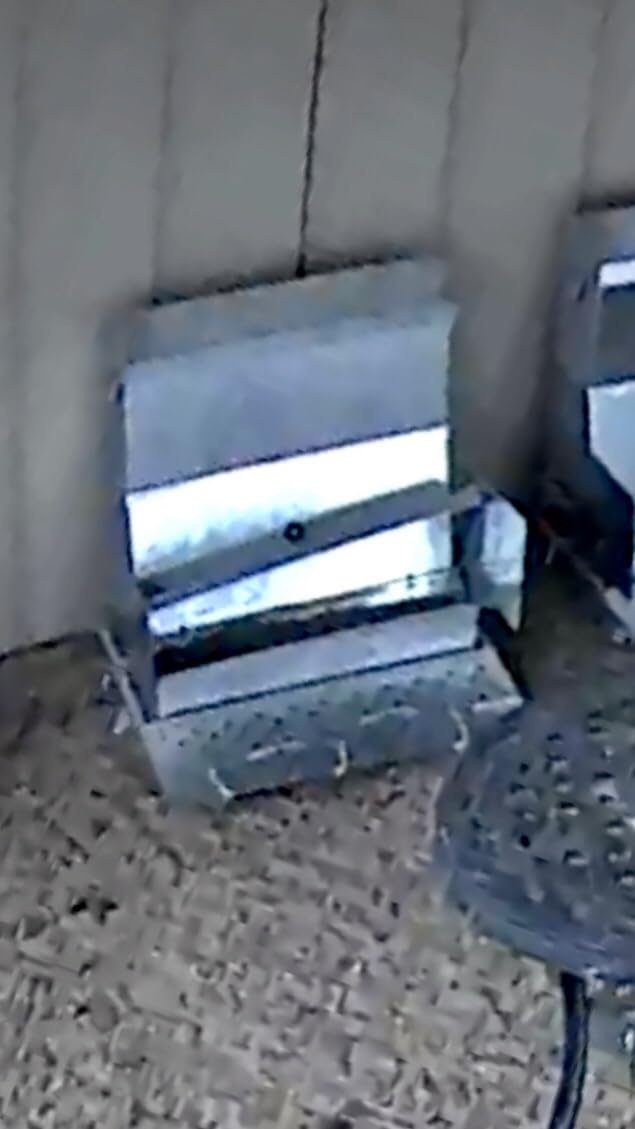 RentACoop Automatic Metal Treadle Feeder - Outdoor Use, Rainproof - Suitable for Chicken, Bantams, Poultry, Pheasants, etc. - 25lb Capacity customer photo 2