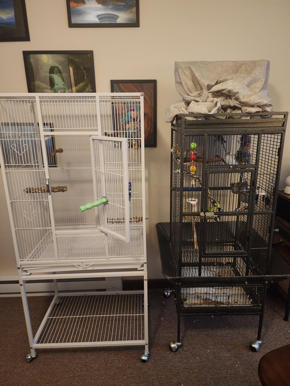 Yaheetech 54-inch Wrought Iron Standing Large Parrot Parakeet Flight Bird Cage for Small Parrot Sun Parakeet Green Cheek Conure Lovebird Budgie Finch Canary Bird Cage with Stand customer photo 2