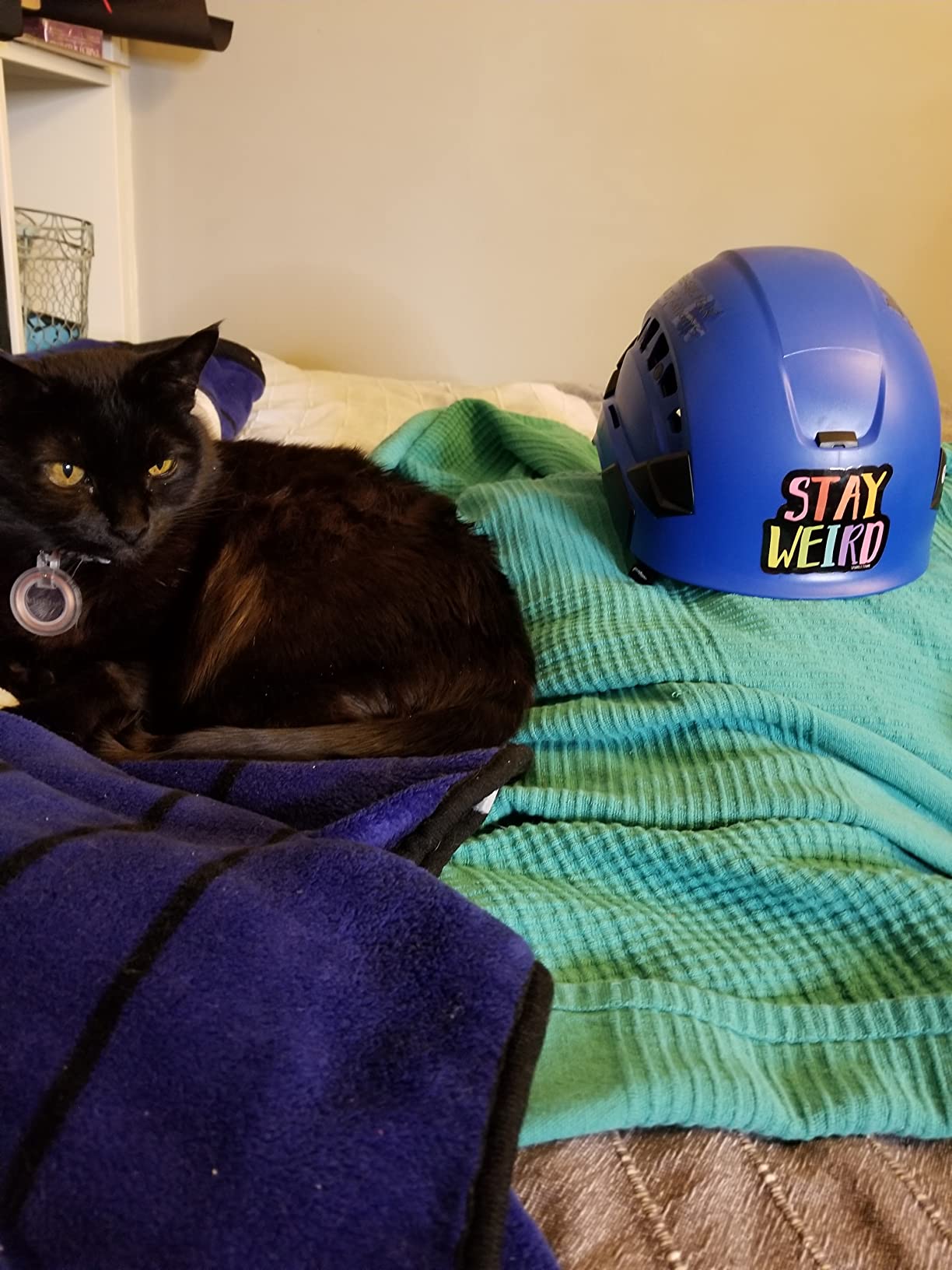 Petzl Vertex Vent Ventilated Safety Helmet (ANSI Z89.1 Type I Class C) customer photo 2