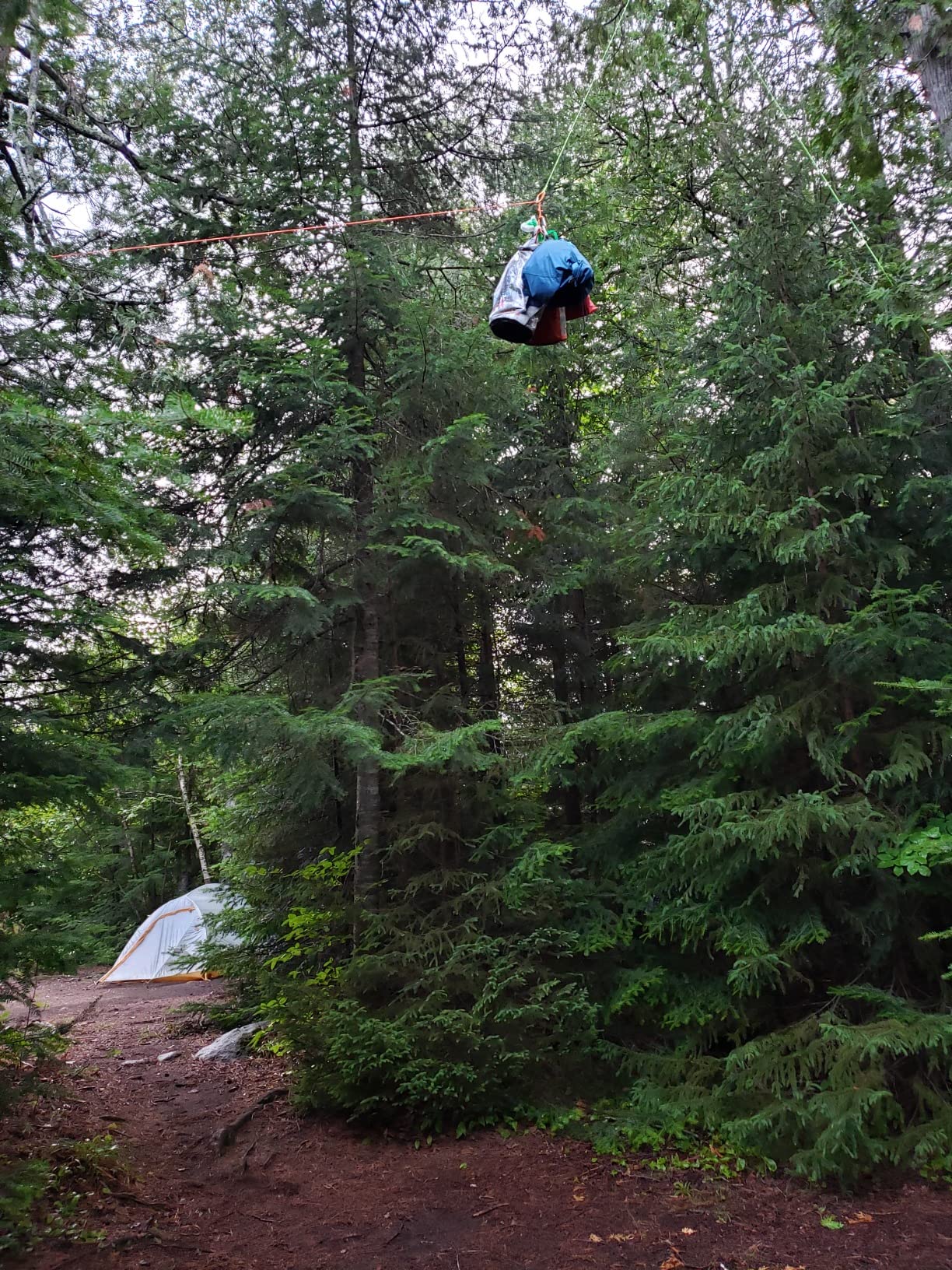 Ultralight Bear Bag Food Hanging System for Camping & Hiking - Waterproof Food Bag with Easy 2-to-1 Pulley, Paracord Ropes, Rock Sok, Carabiners & Instructions customer photo 1