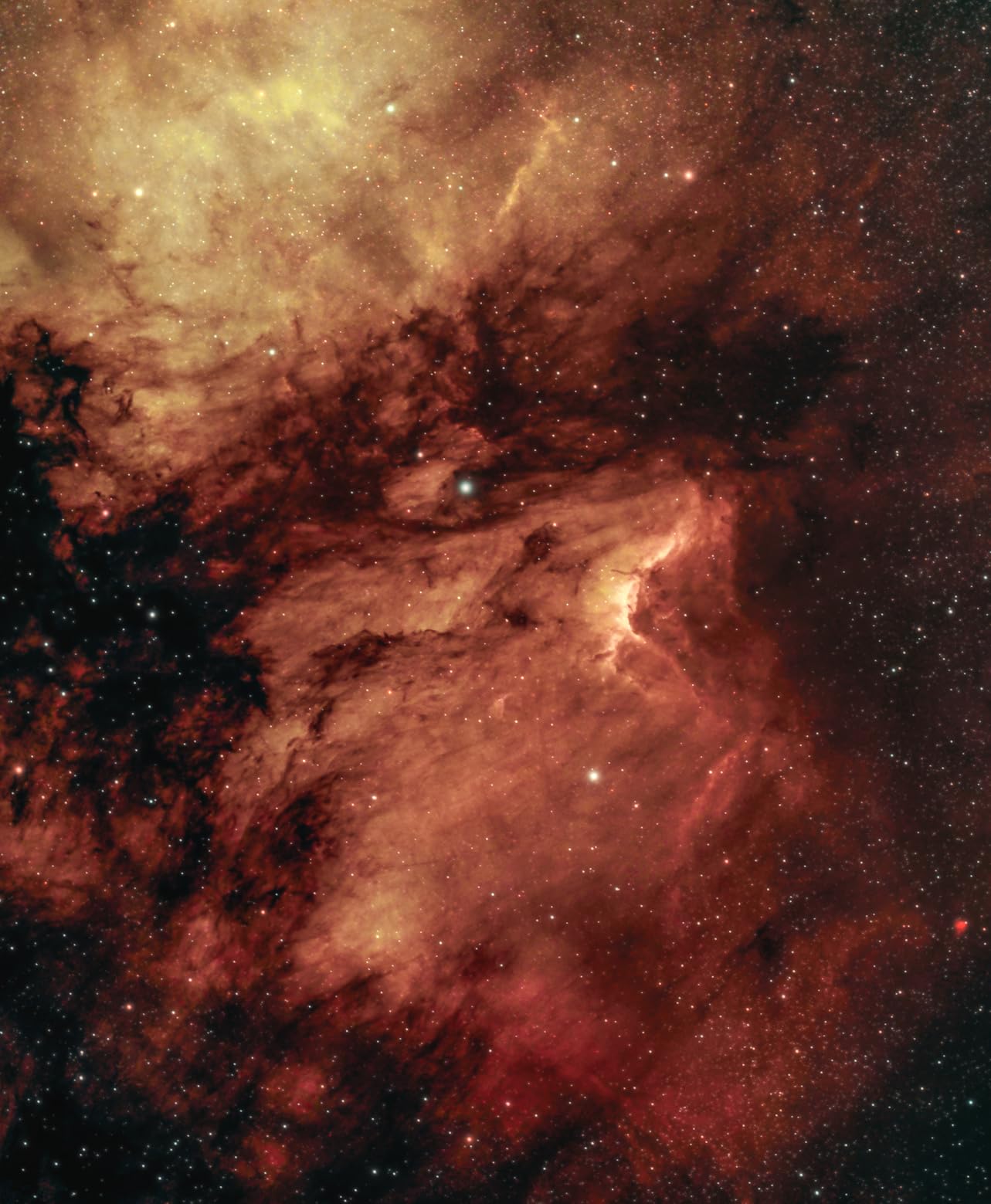 iEXOS-100-2 PMC-Eight Equatorial Tracker System Tripod and Mount for Astrophotography with WiFi and Bluetooth Compatible customer photo 1