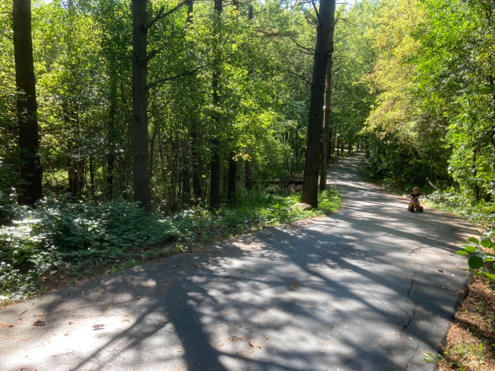 Dakota Alert Wireless Driveway Alarm System DCPA-4000 One Mile Wireless Range, DCR-4000 Receiver & DCPT-4000 Vehicle Detecting Probe Transmitter with Direct Burial Cable | Outdoor Vehicle Sensor Alarm customer photo 2