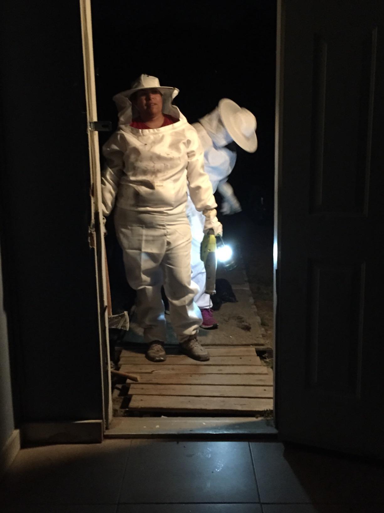 Blisstime Bee Hive Bee Smoker Stainless Steel with Heat Shield Beekeeping Supplies and Equipment customer photo 1