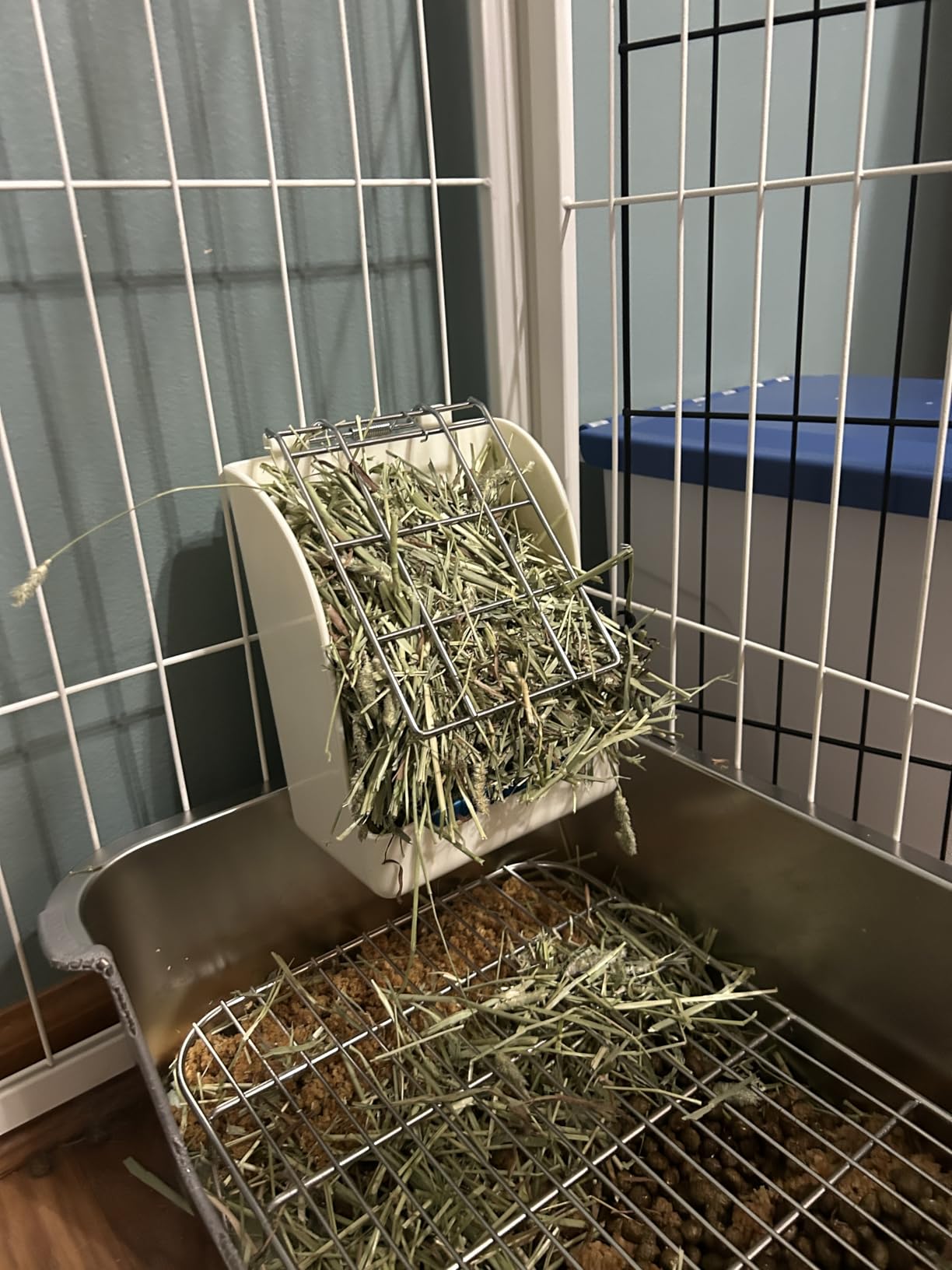 CalPalmy Hay Feeder for Rabbits, Guinea Pigs, and Chinchillas - Minimize Waste and Mess with 5.5